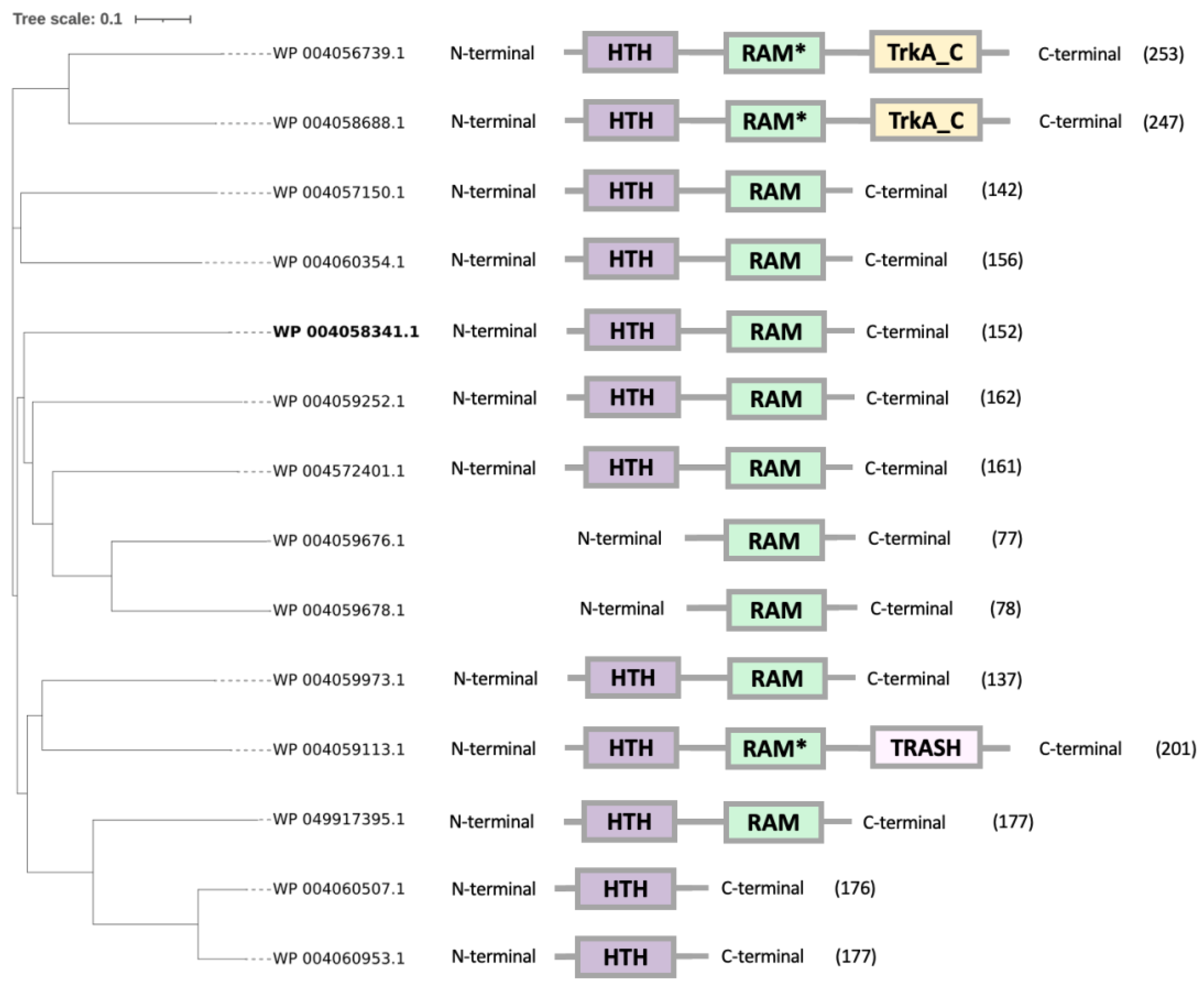 Genes 12 00802 g001 Genes 12 00802 g001