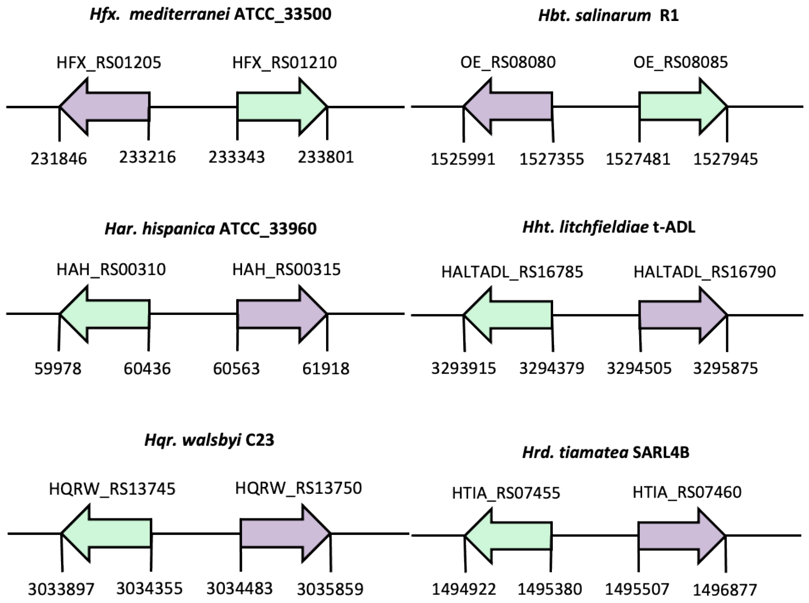 Genes 12 00802 g003 Genes 12 00802 g003