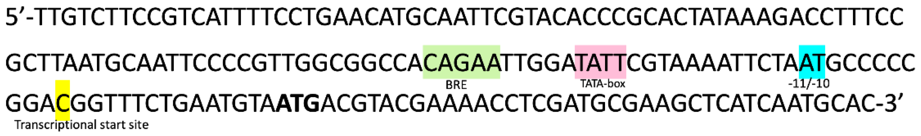 Genes 12 00802 g005 Genes 12 00802 g005