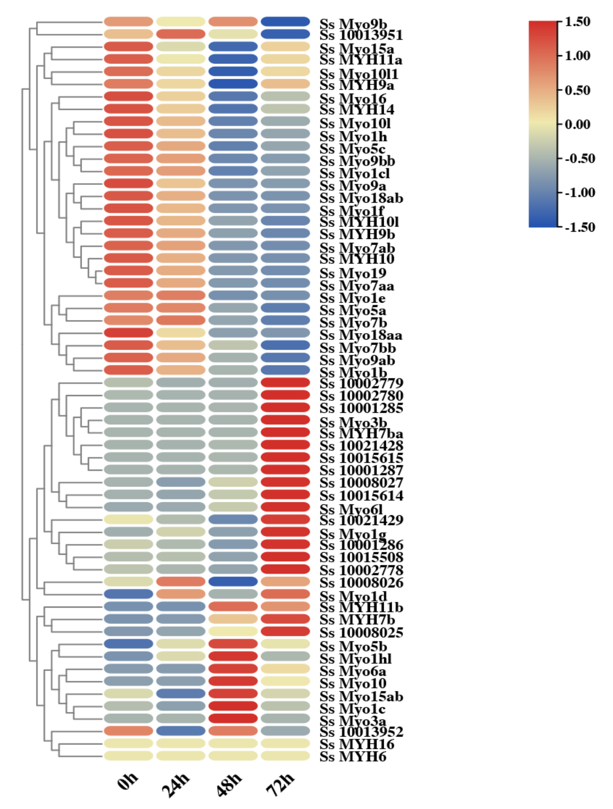 Genes 12 00808 g007