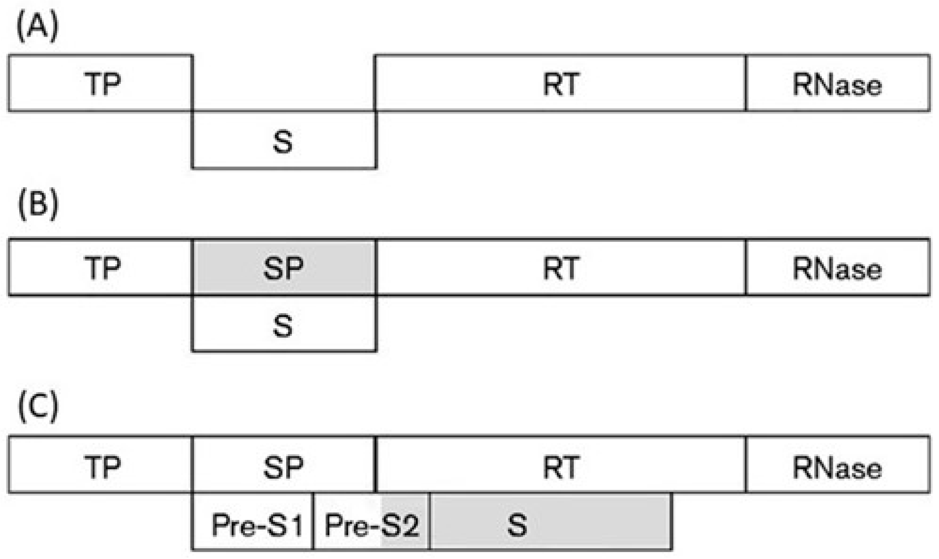 Genes 12 00809 g011 Genes 12 00809 g011
