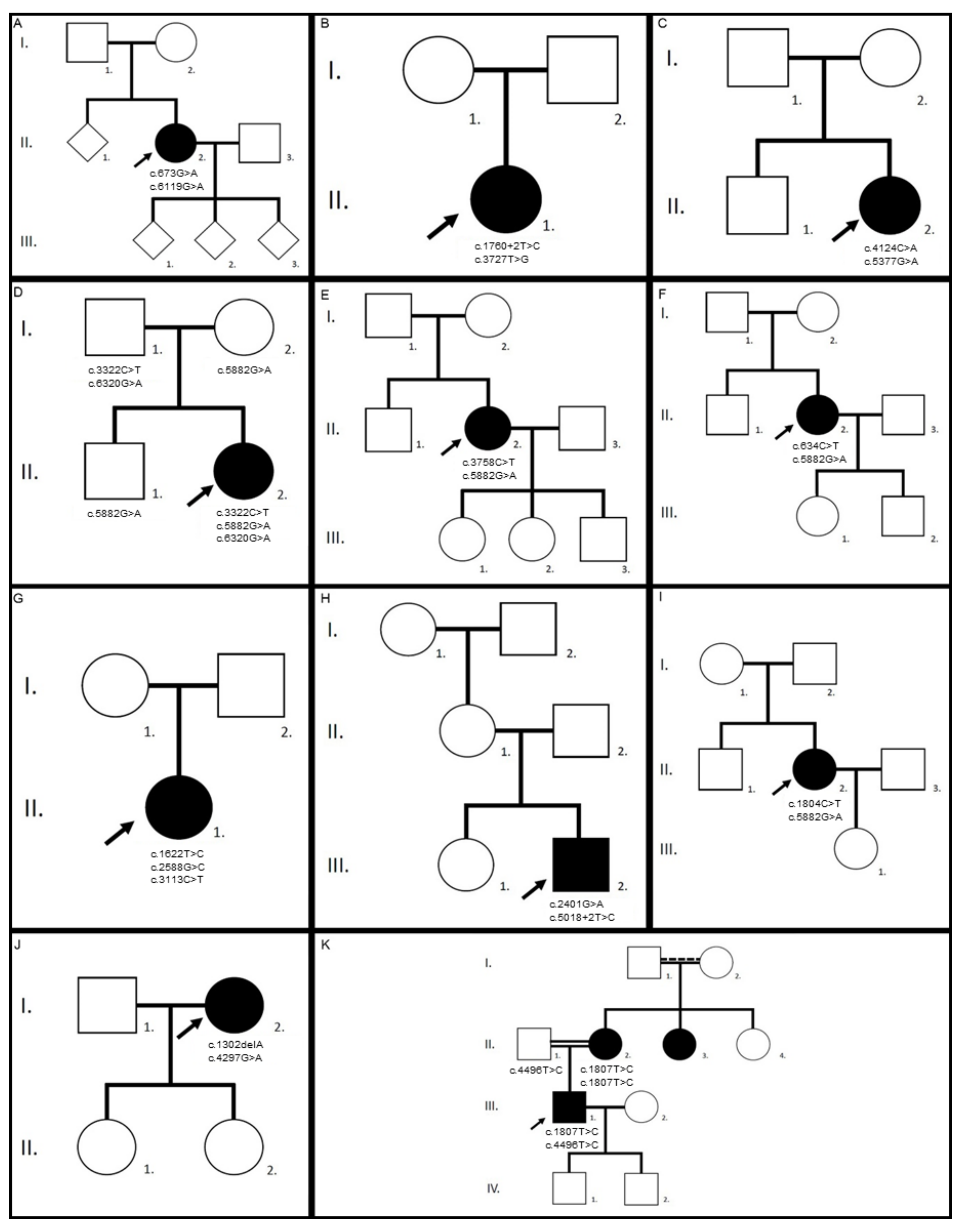 Genes 12 00812 g001 Genes 12 00812 g001
