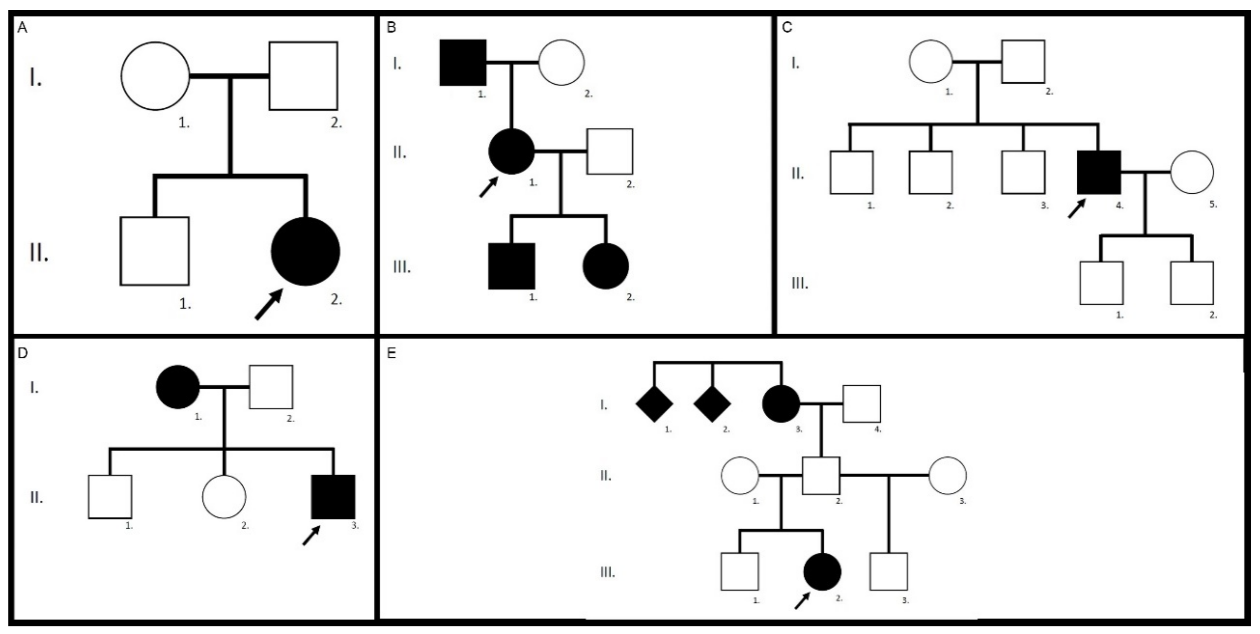 Genes 12 00812 g005 Genes 12 00812 g005