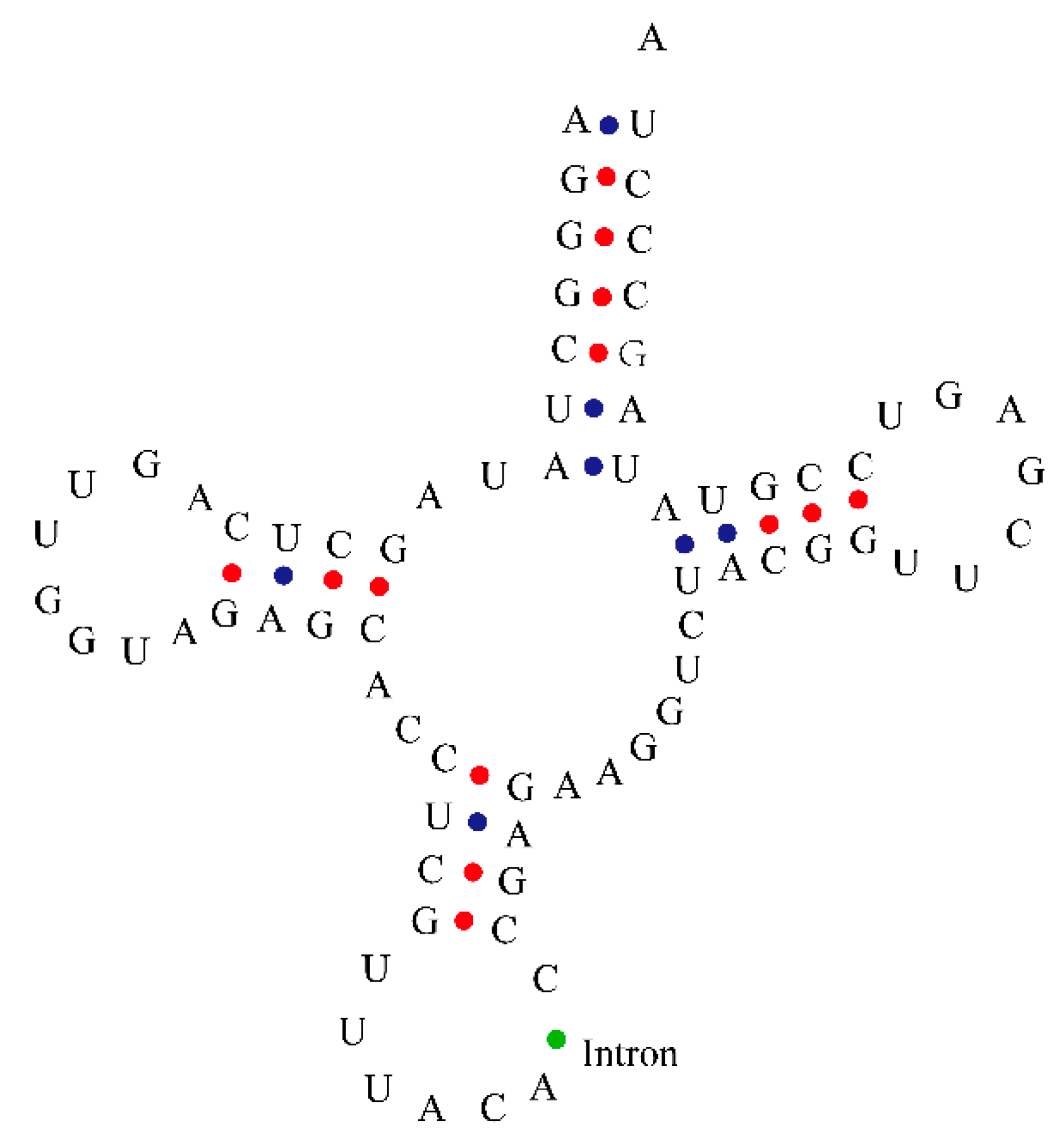 Genes 12 00822 g001 Genes 12 00822 g001