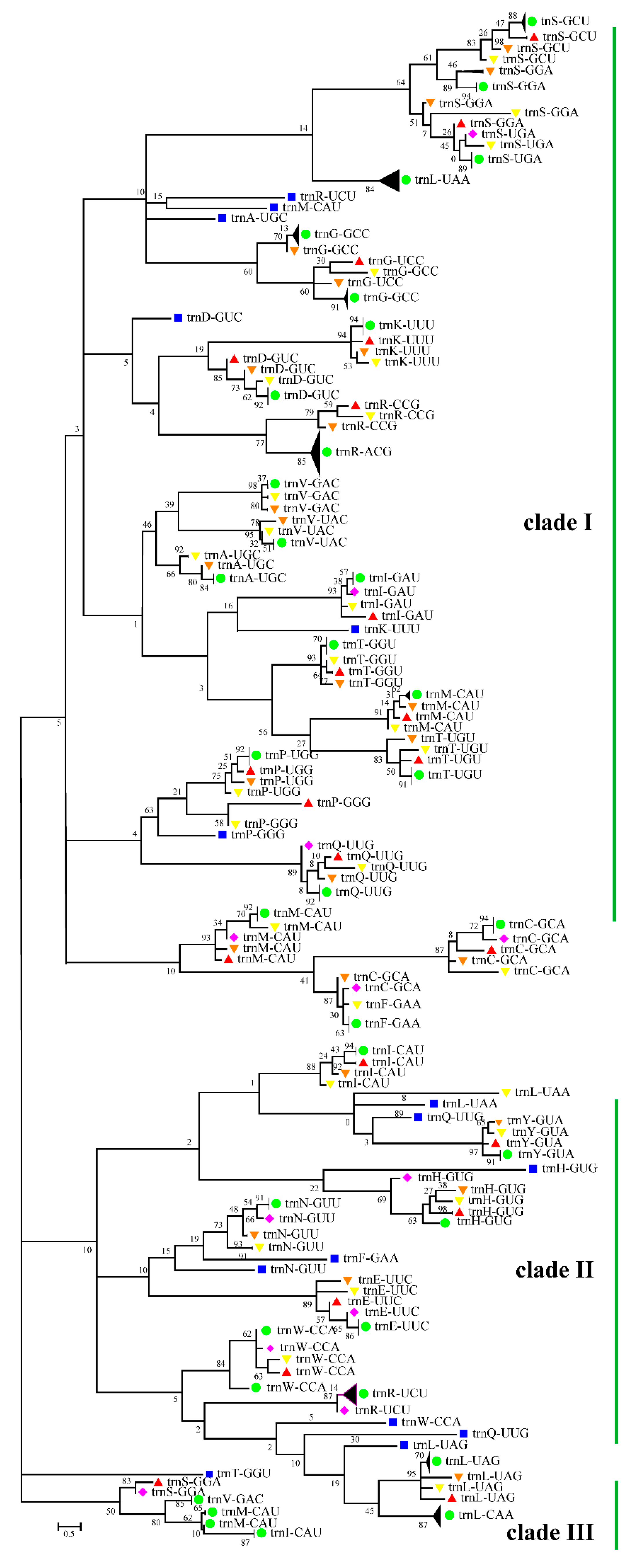 Genes 12 00822 g005 Genes 12 00822 g005