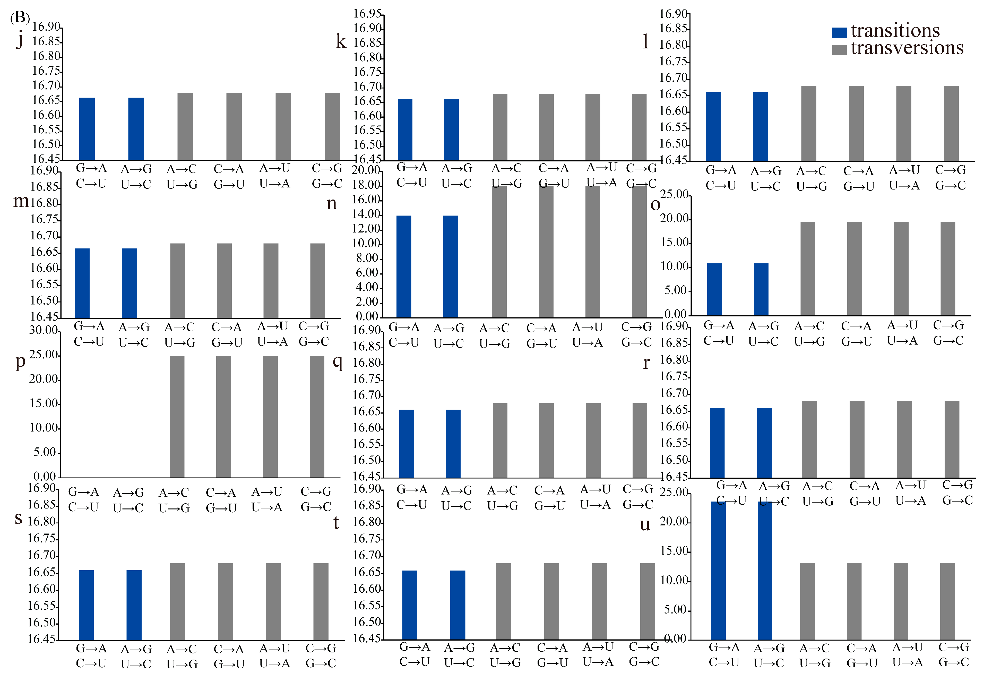 Genes 12 00822 g006b Genes 12 00822 g006b