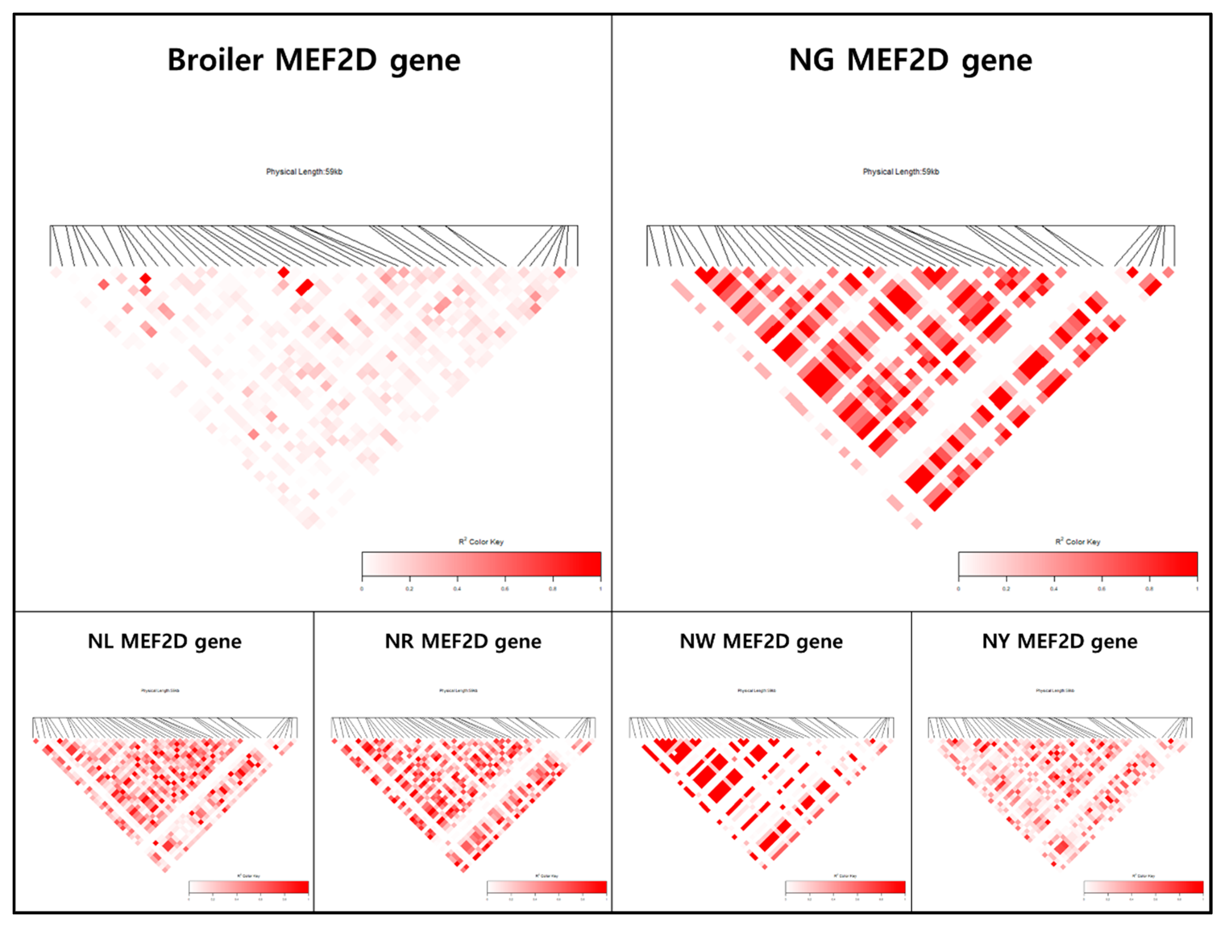 Genes 12 00824 g005 Genes 12 00824 g005