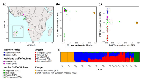 MDPI