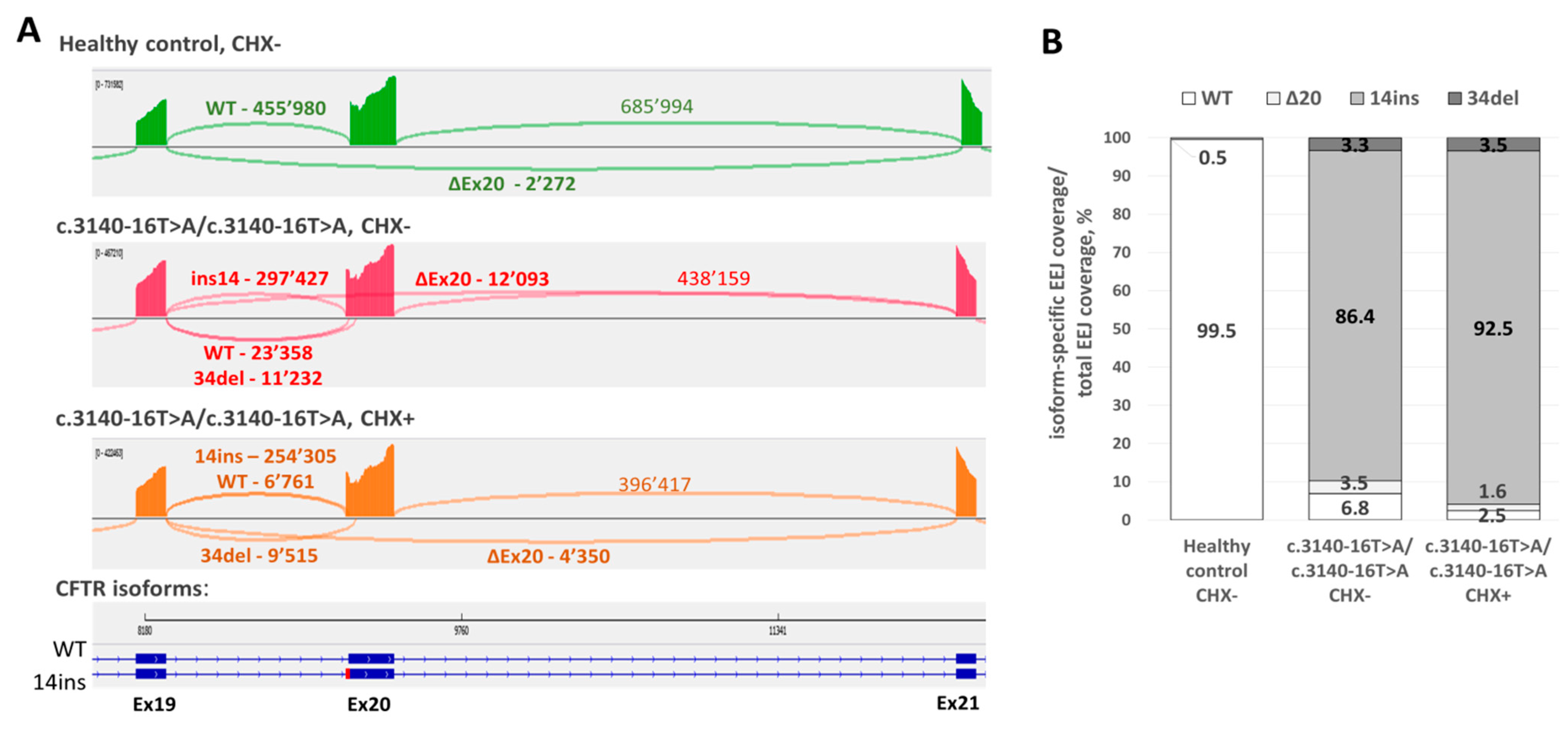 Genes 12 00837 g006