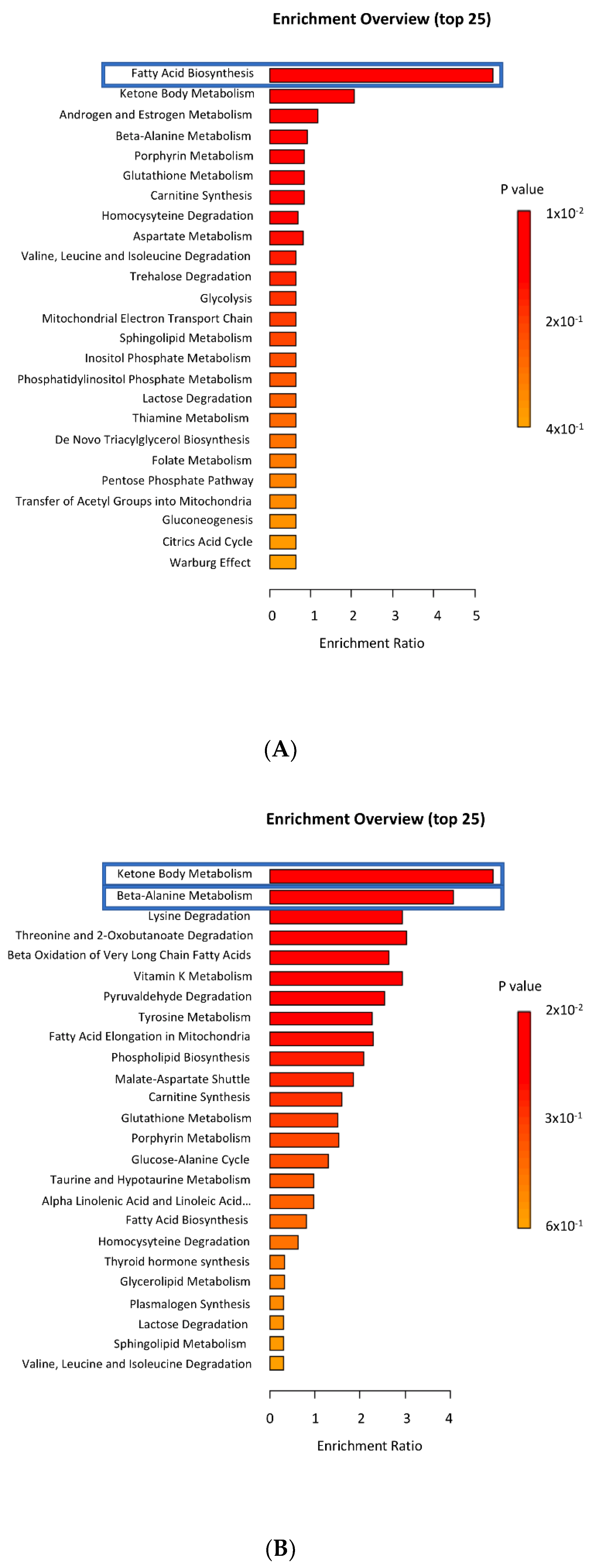Genes 12 00838 g007a