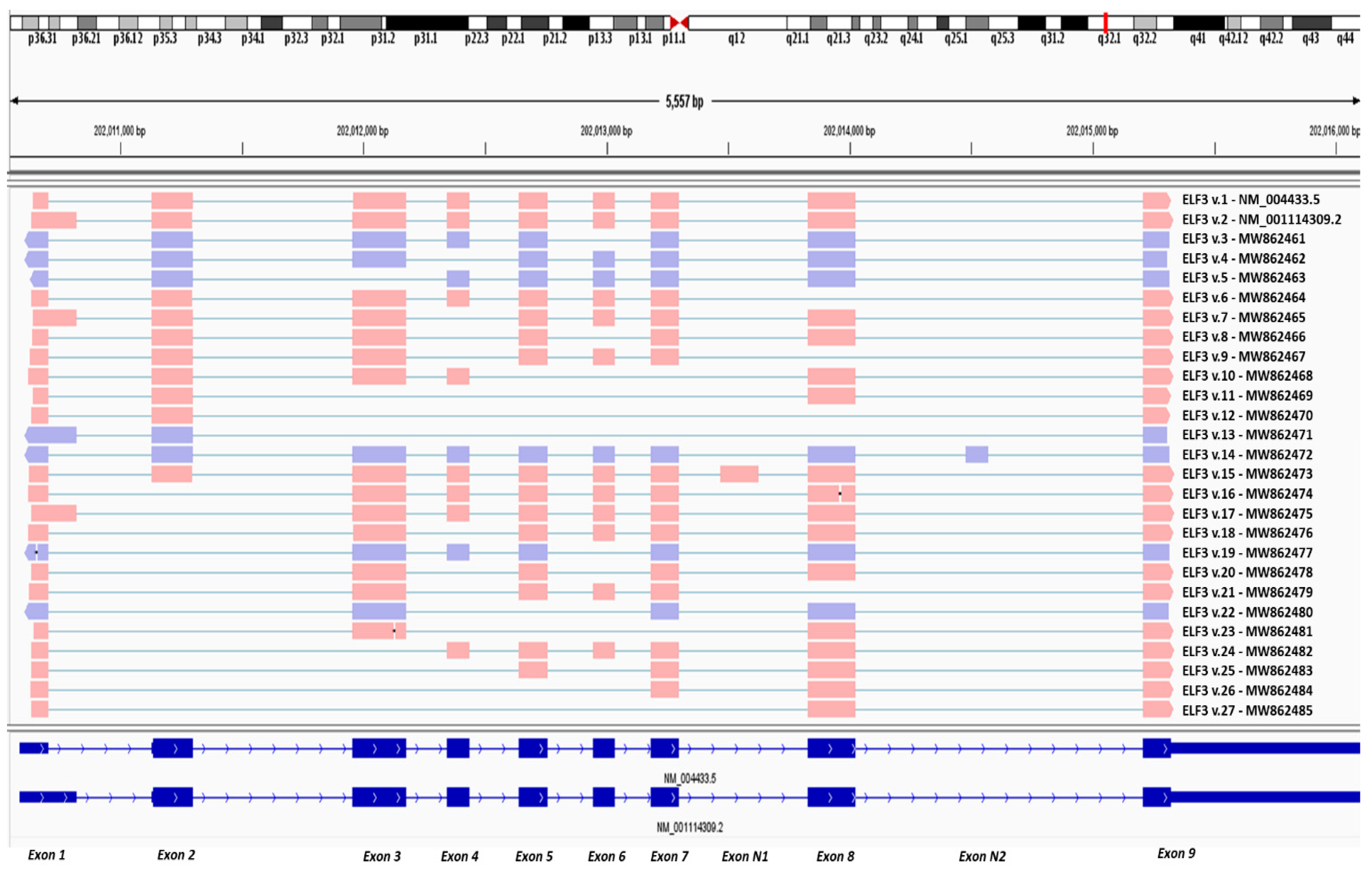 Genes 12 00839 g001 Genes 12 00839 g001