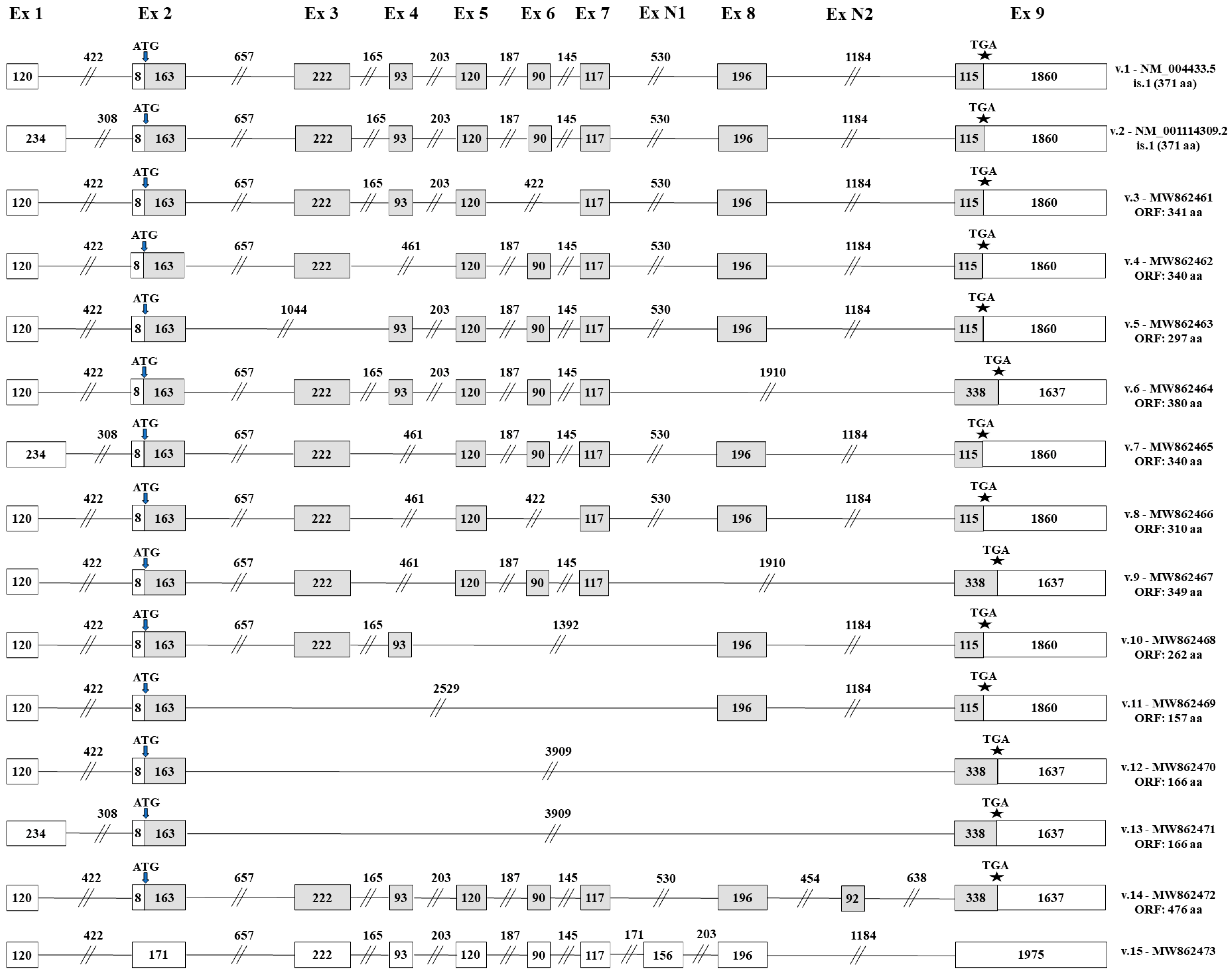 Genes 12 00839 g003 Genes 12 00839 g003