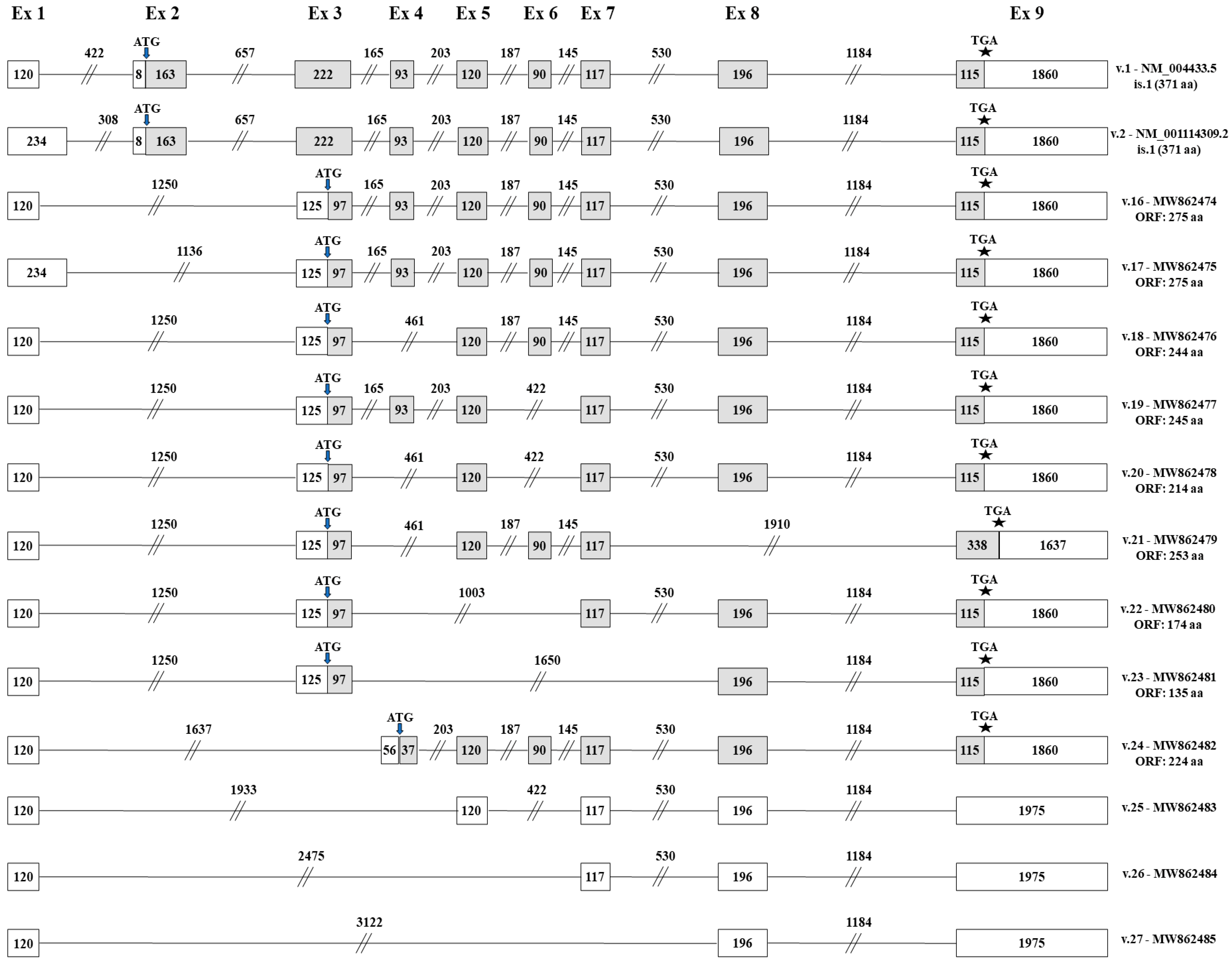 Genes 12 00839 g004 Genes 12 00839 g004