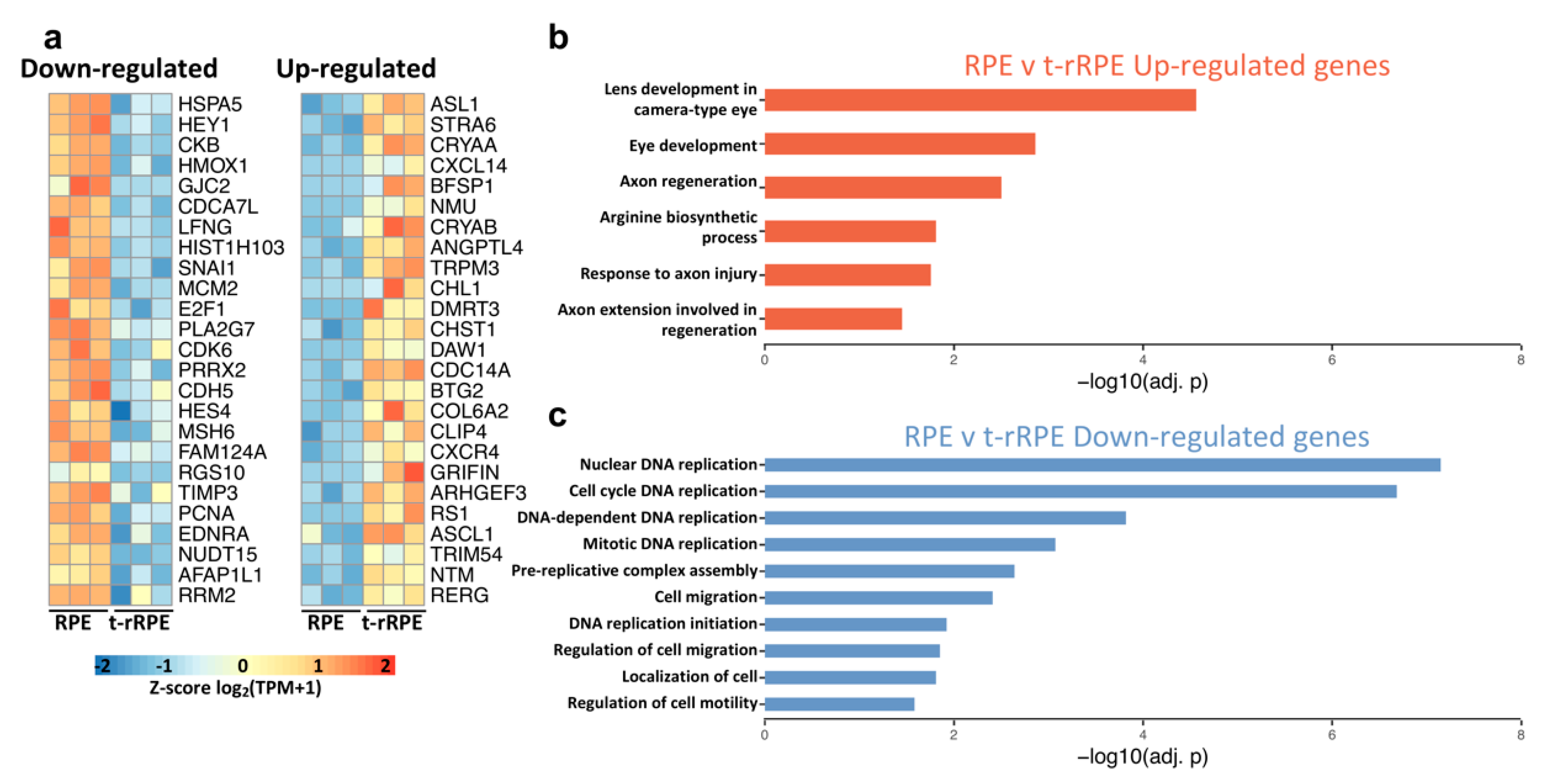 Genes 12 00840 g002 Genes 12 00840 g002