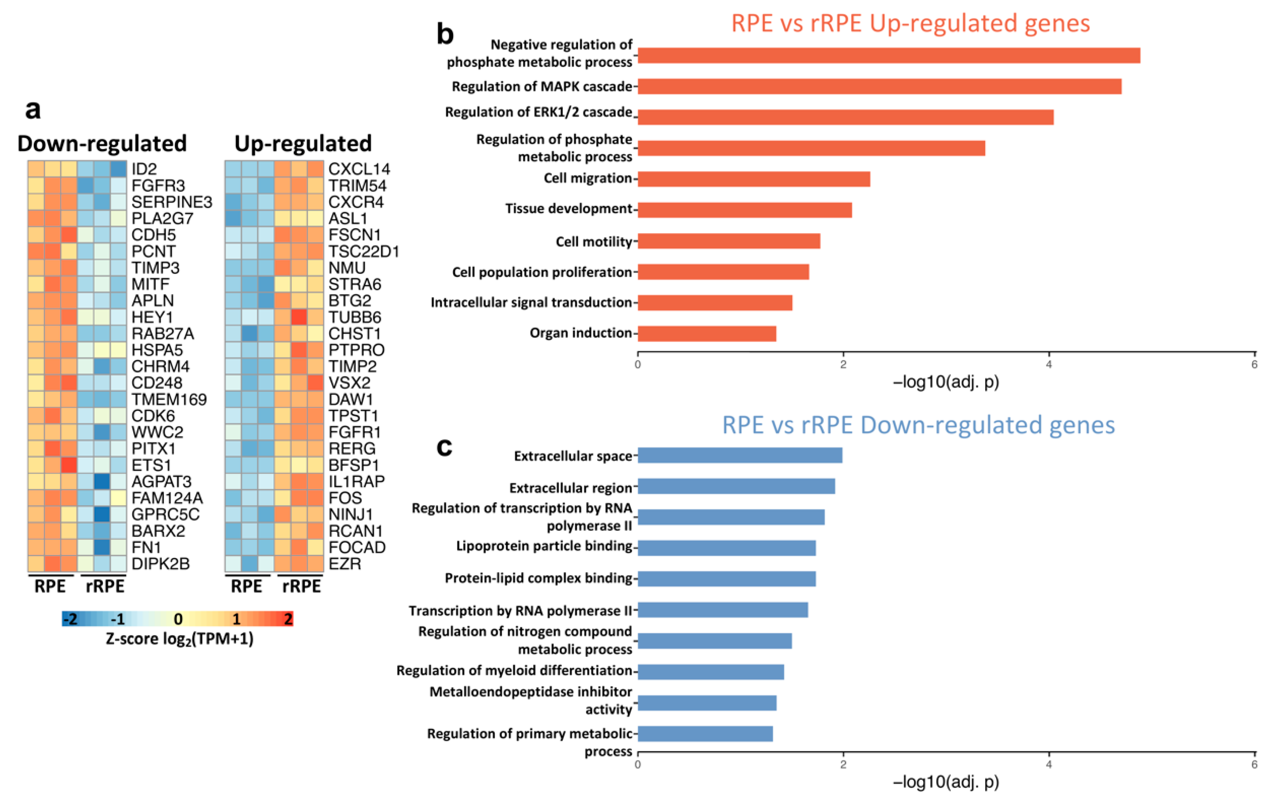 Genes 12 00840 g003 Genes 12 00840 g003