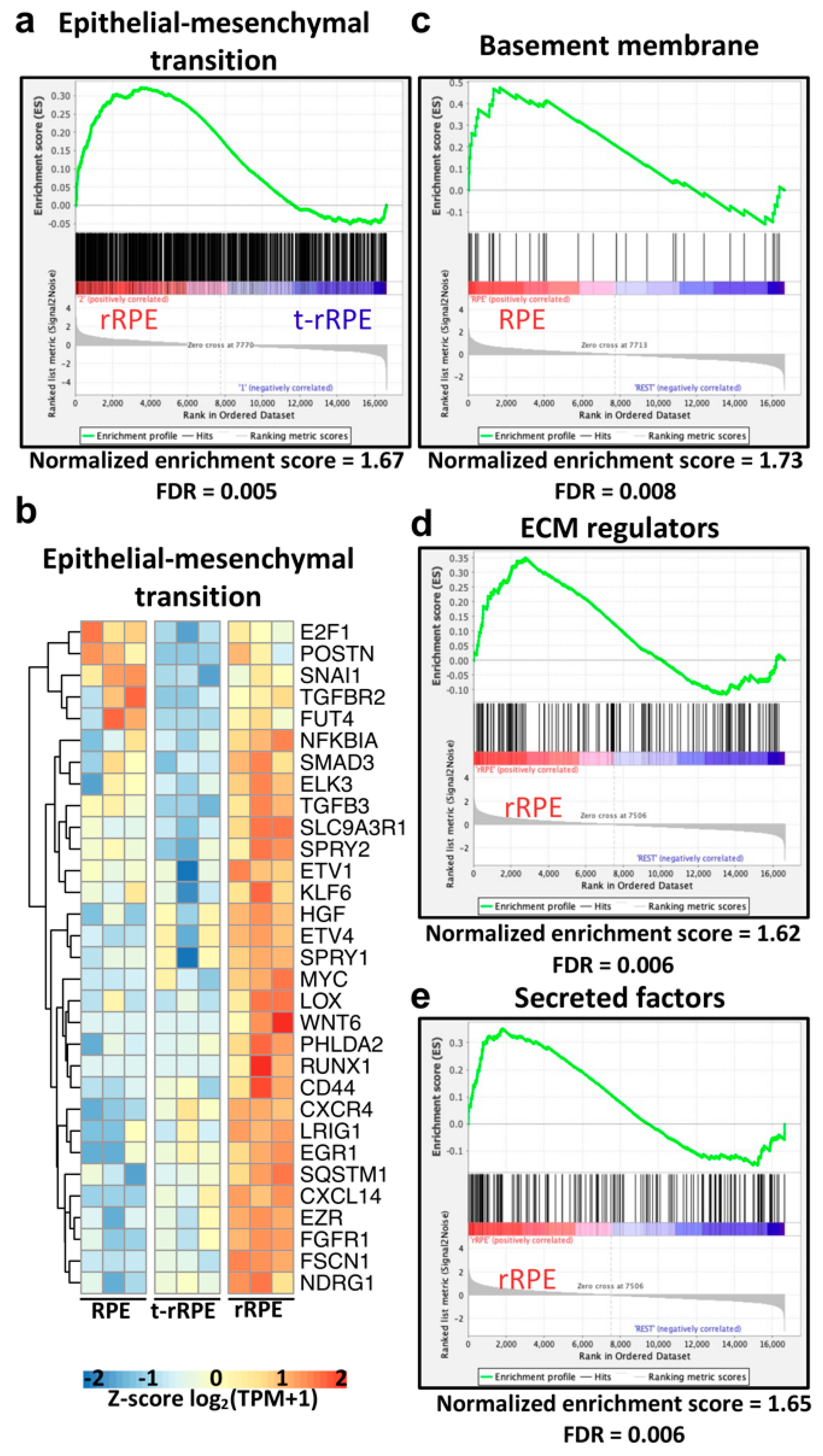 Genes 12 00840 g005 Genes 12 00840 g005