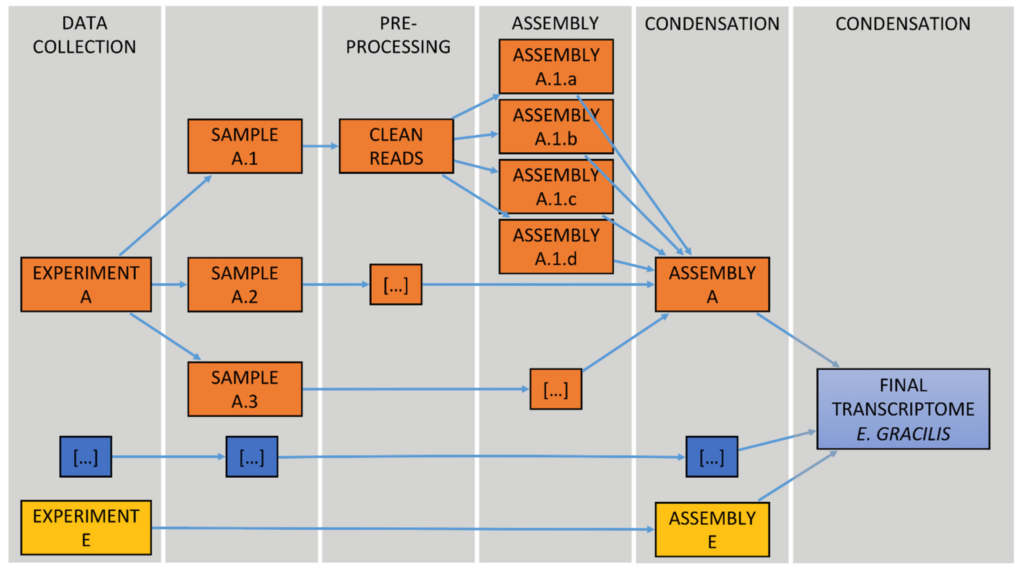 How To Extract Sensible Information From Dump Du Schéma Ad Genes | Free Full-Text | De Novo Transcriptome Meta-Assembly of the Mixotrophic Freshwater Microalga Euglena gracilis