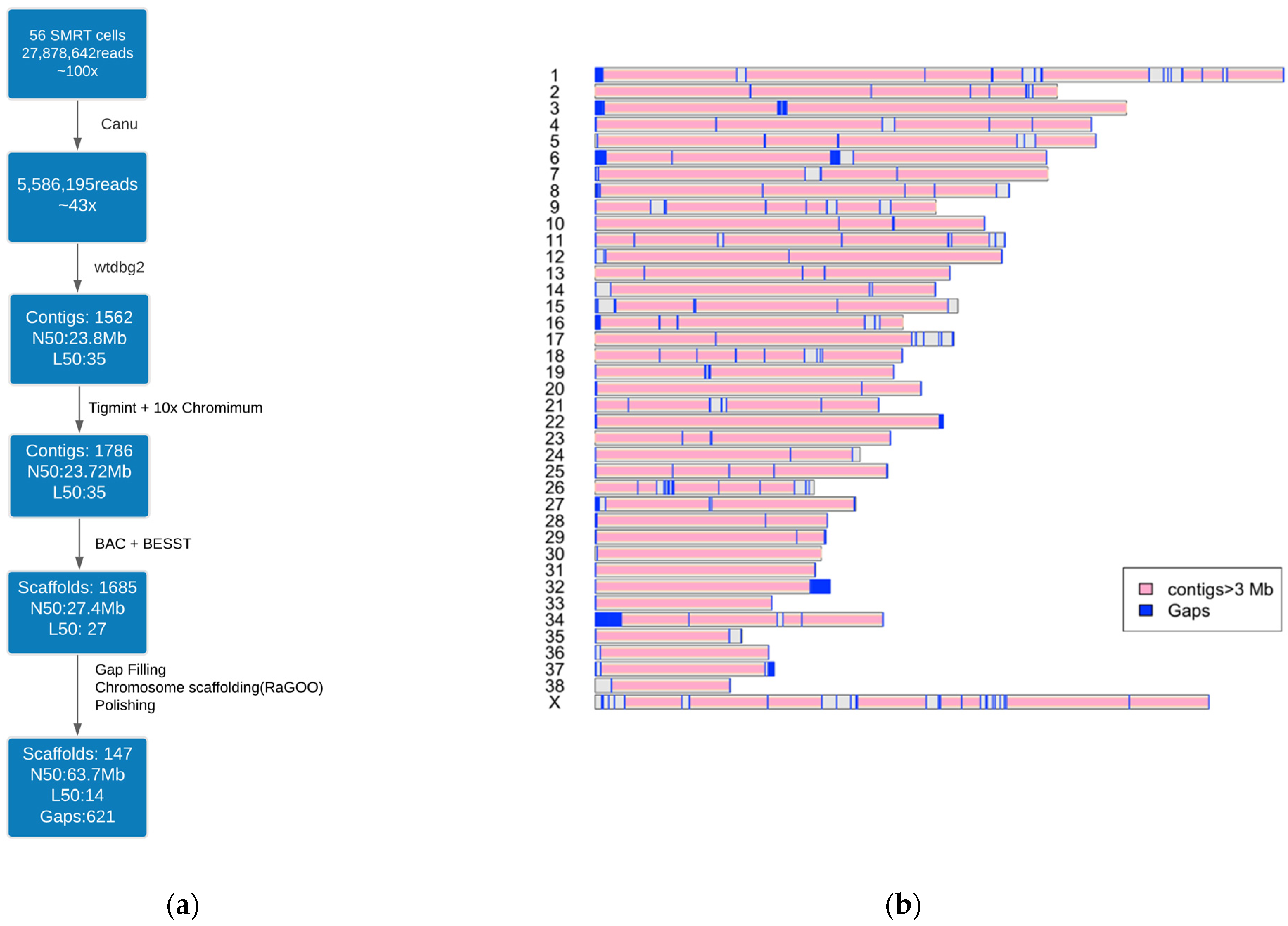 Genes 12 00847 g001