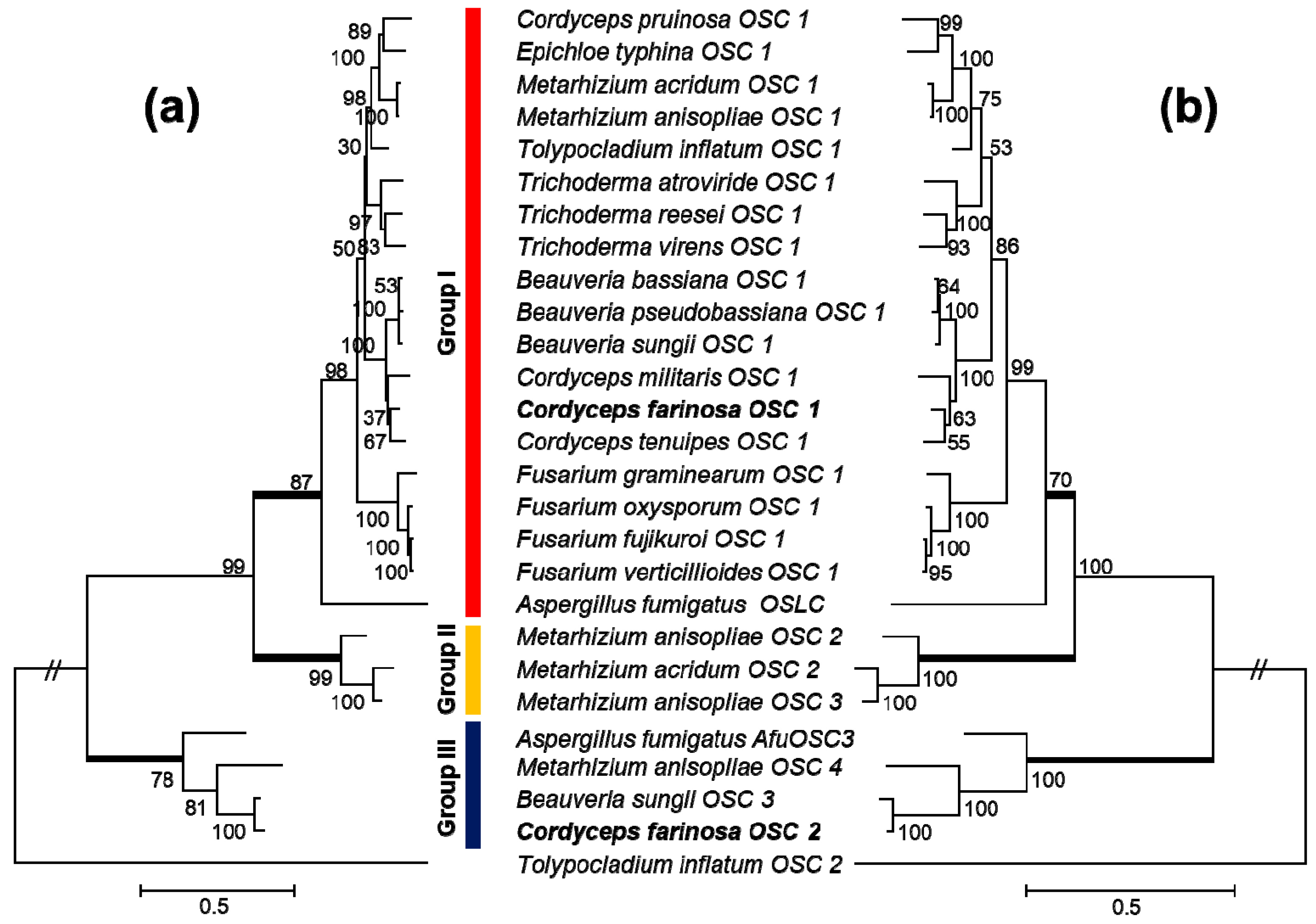 Genes 12 00848 g004