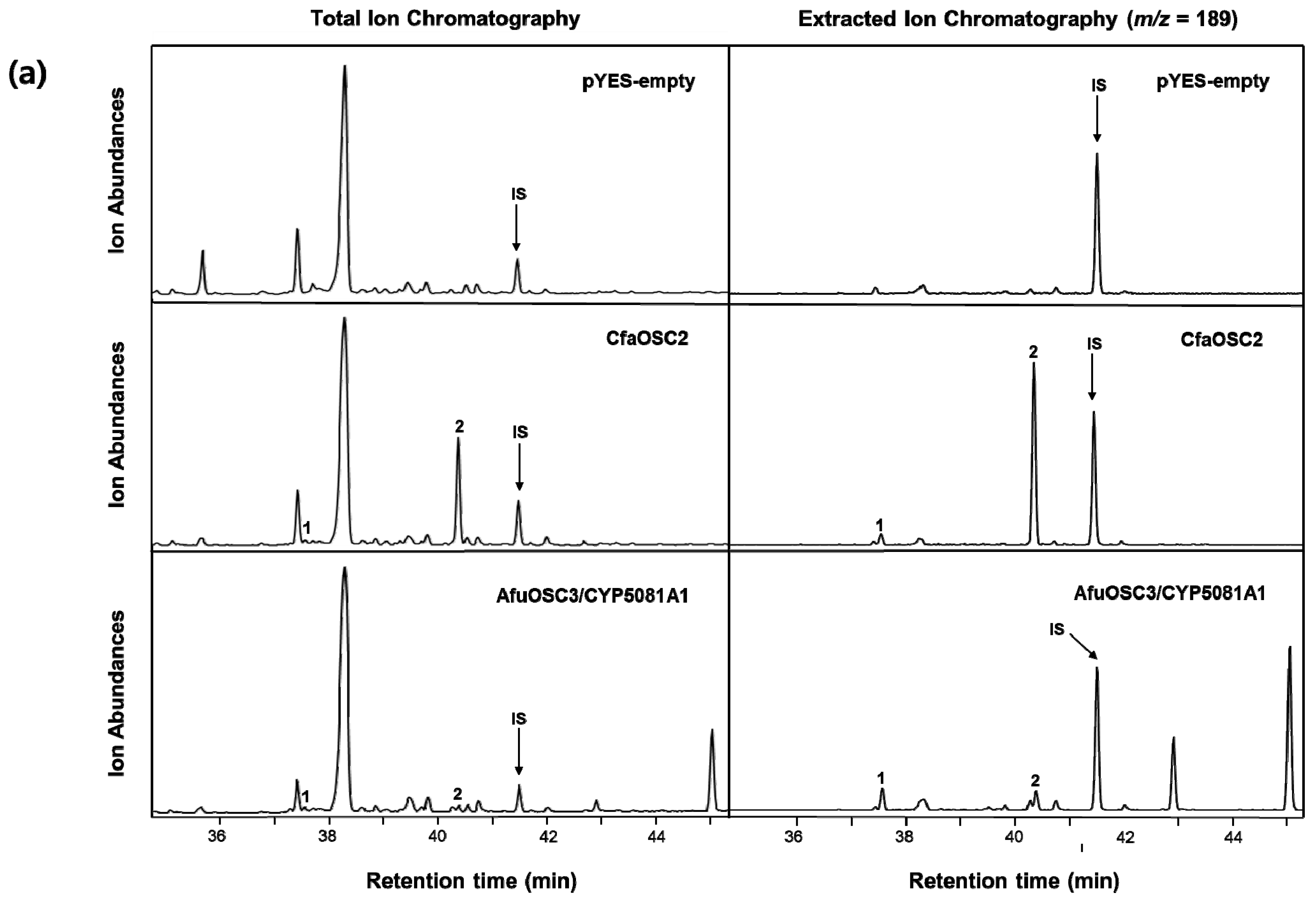 Genes 12 00848 g005a