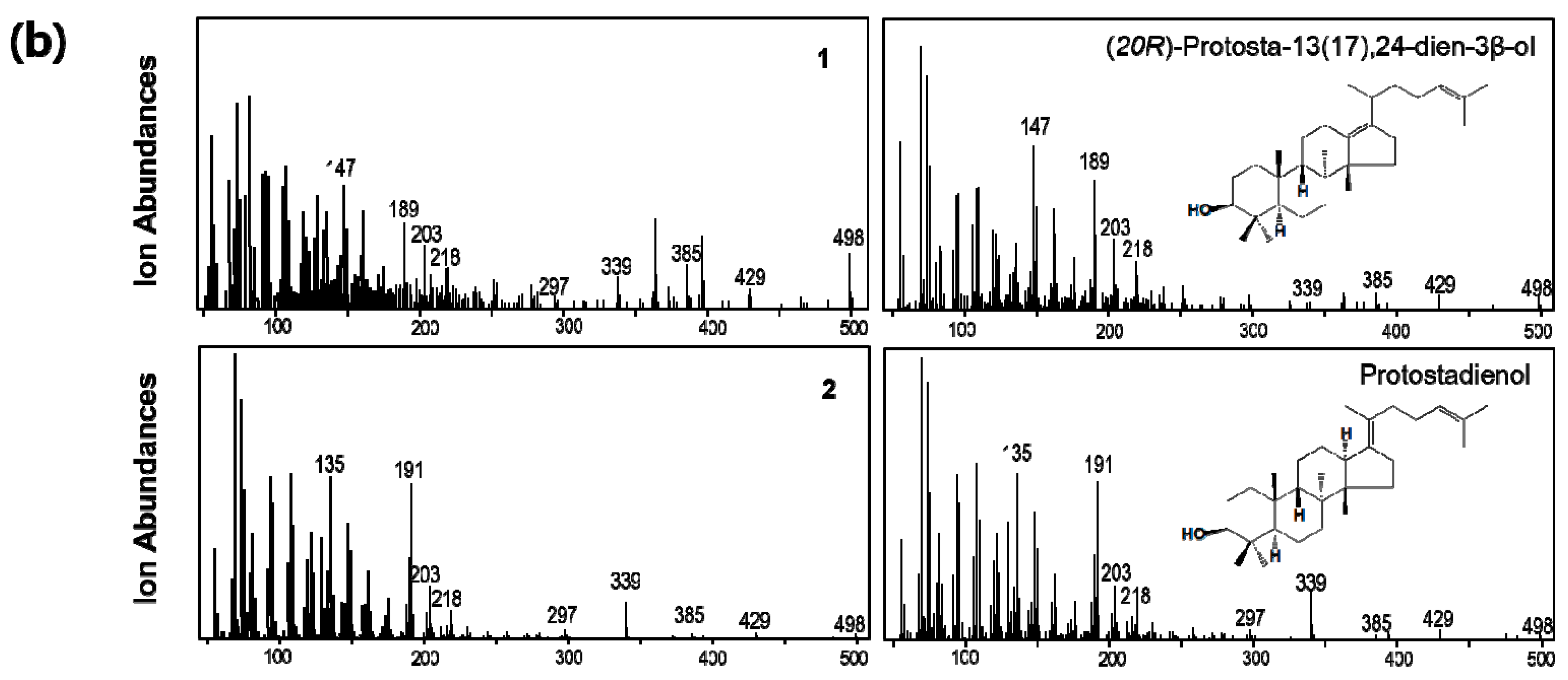 Genes 12 00848 g005b