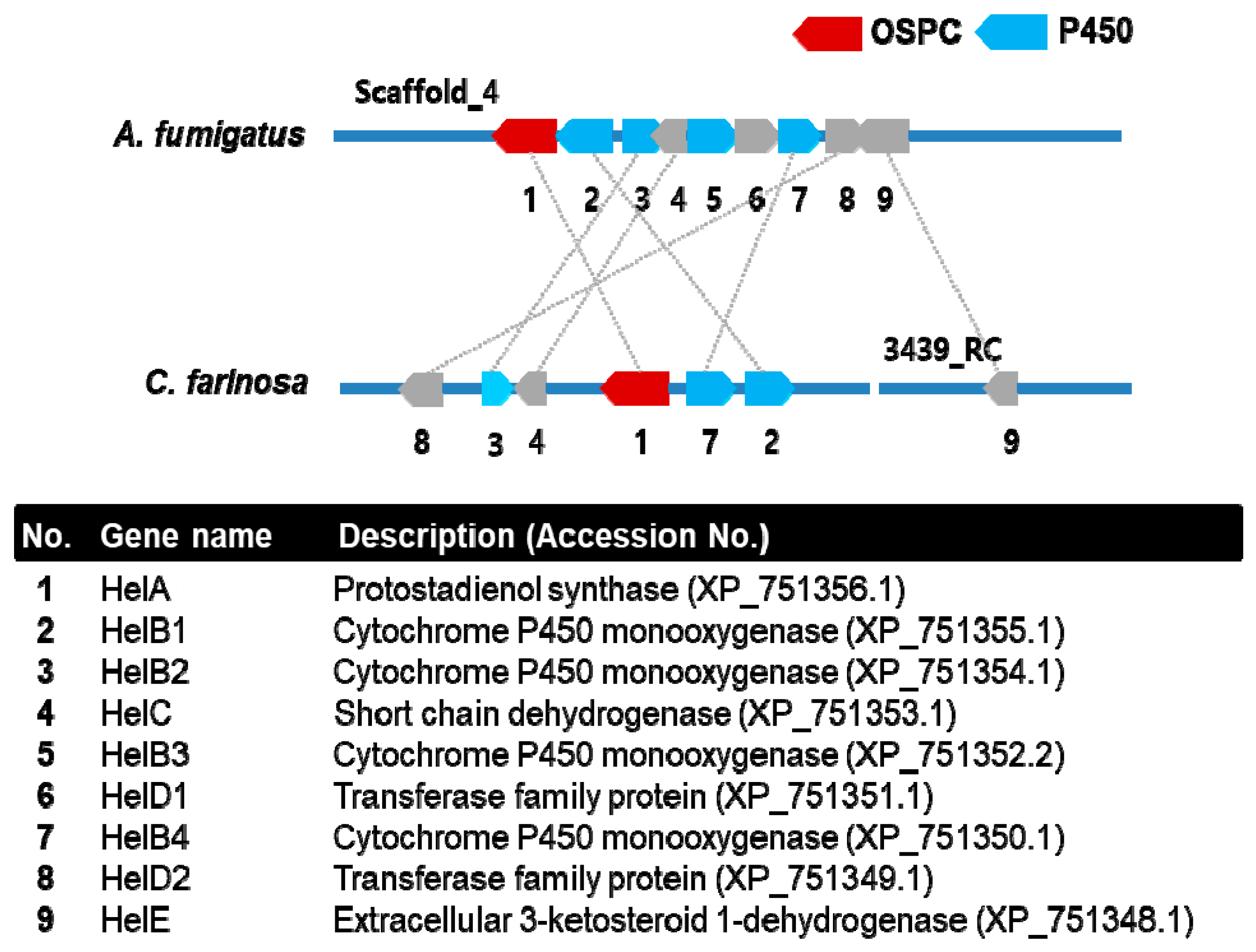 Genes 12 00848 g006