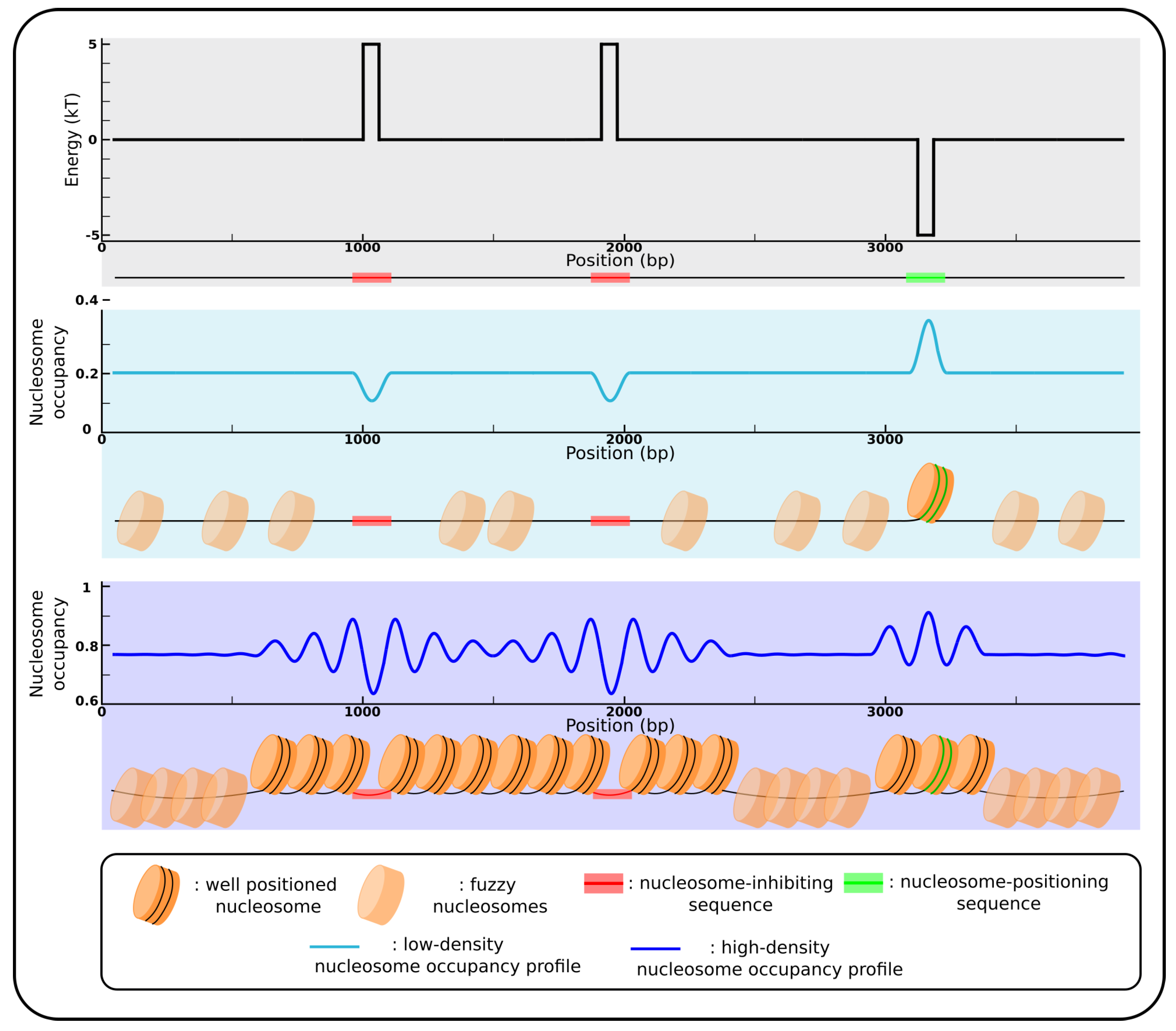 Genes 12 00851 g001 Genes 12 00851 g001