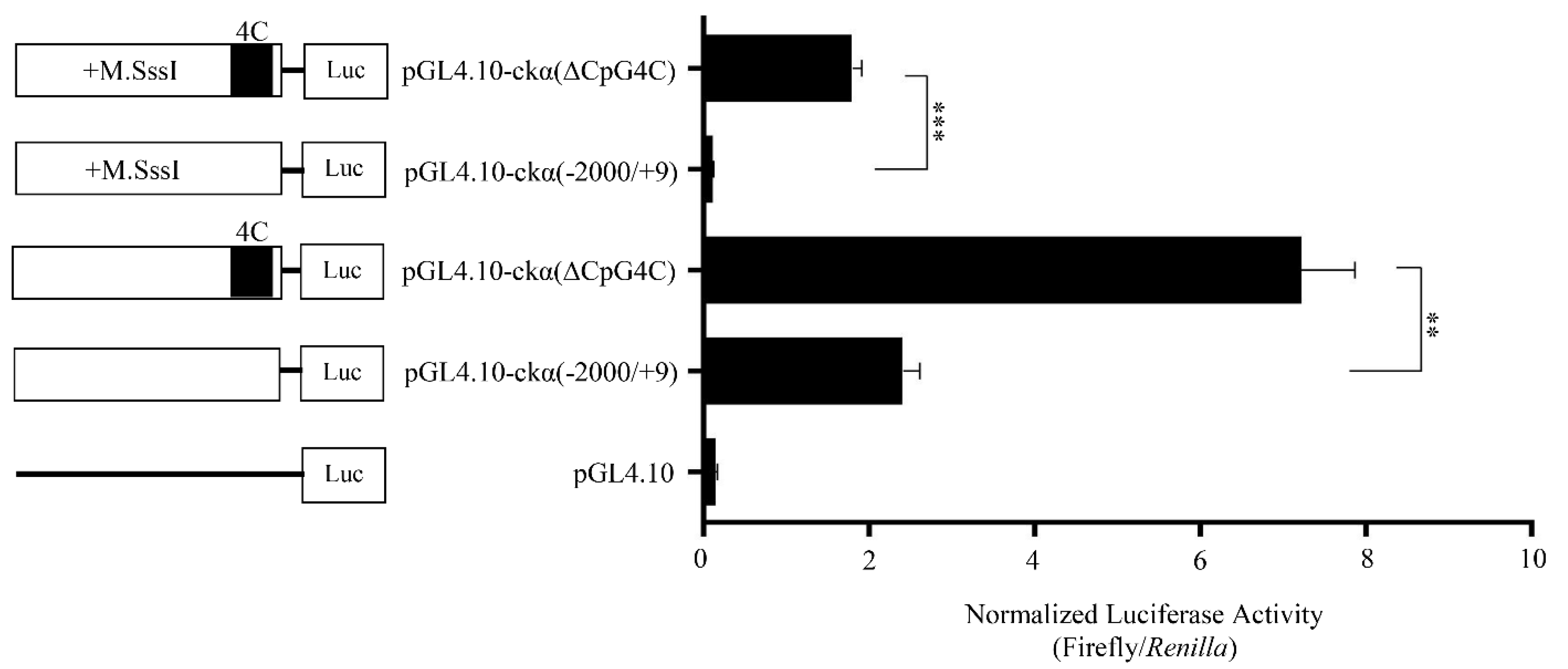 Genes 12 00853 g003 Genes 12 00853 g003