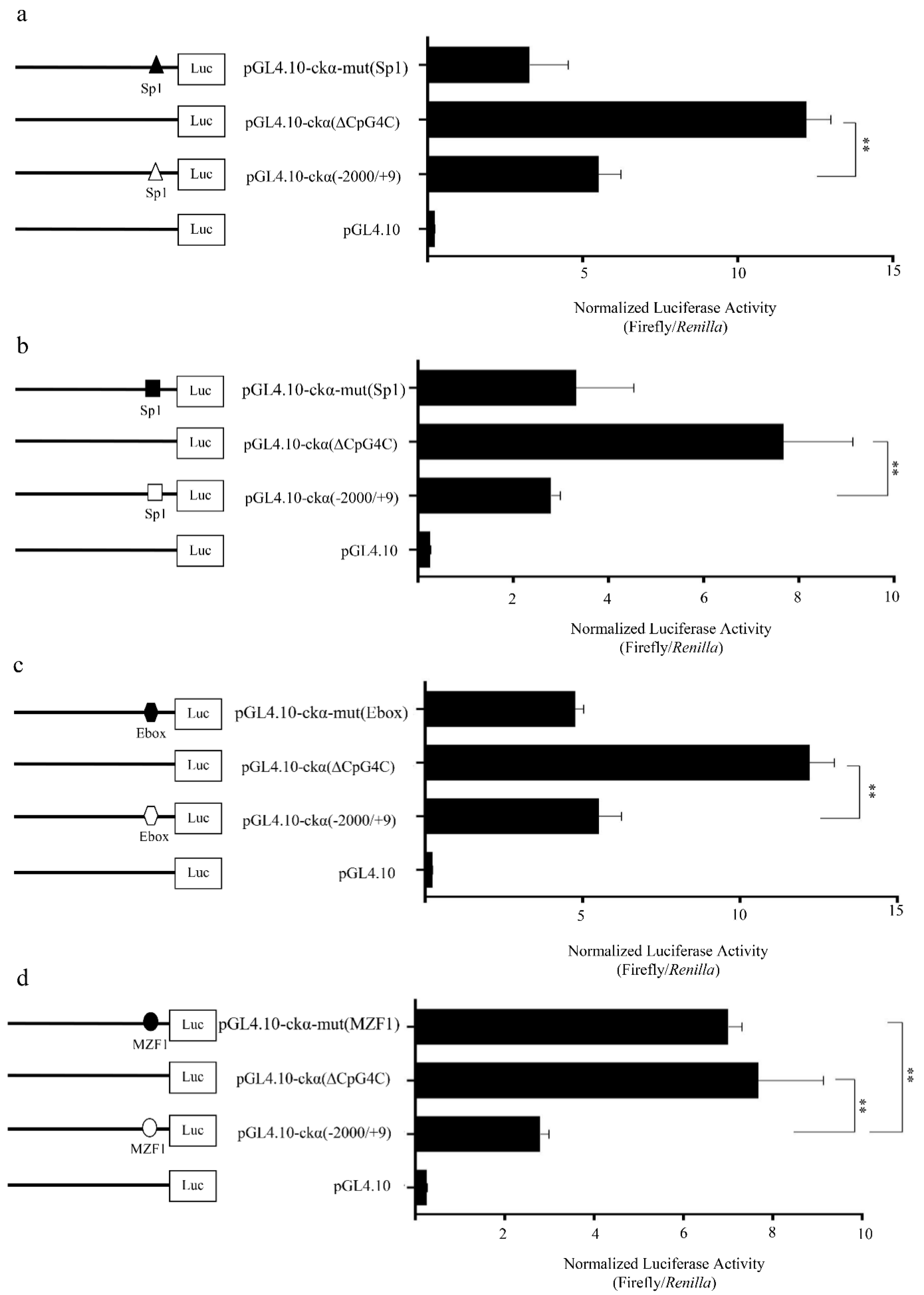 Genes 12 00853 g005 Genes 12 00853 g005