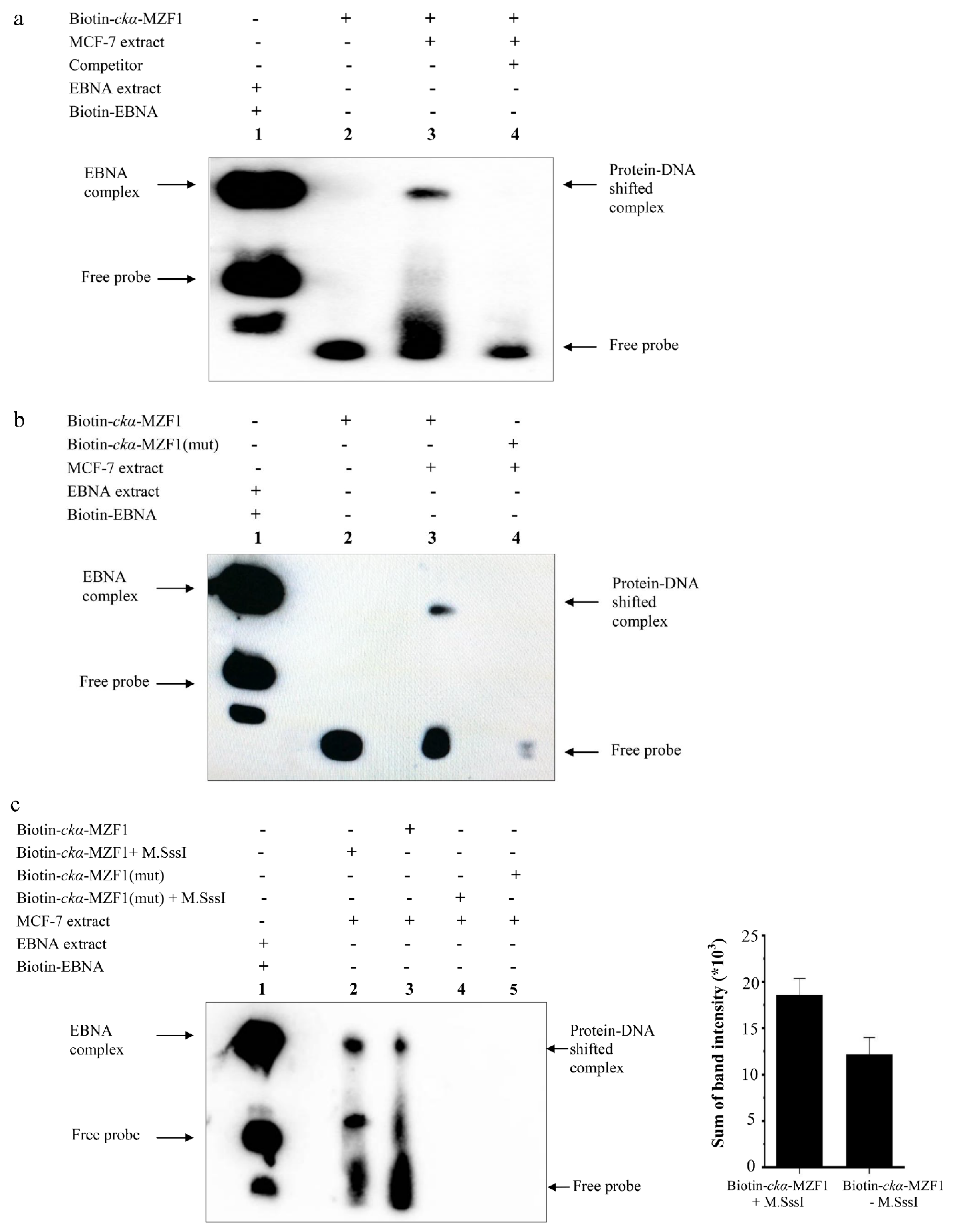 Genes 12 00853 g006 Genes 12 00853 g006