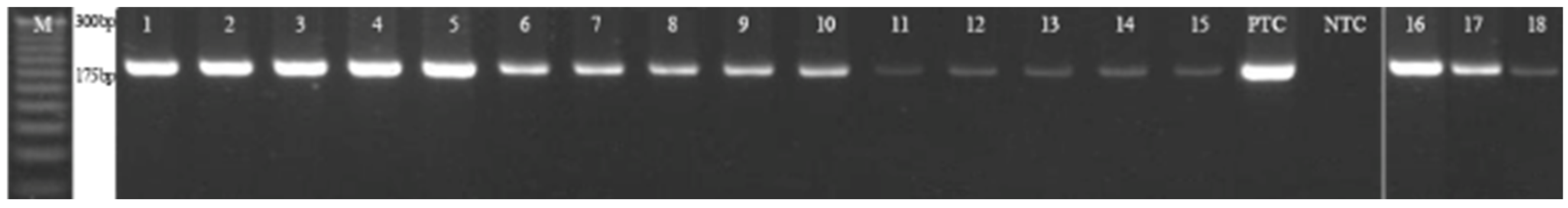 Genes 12 00857 g003