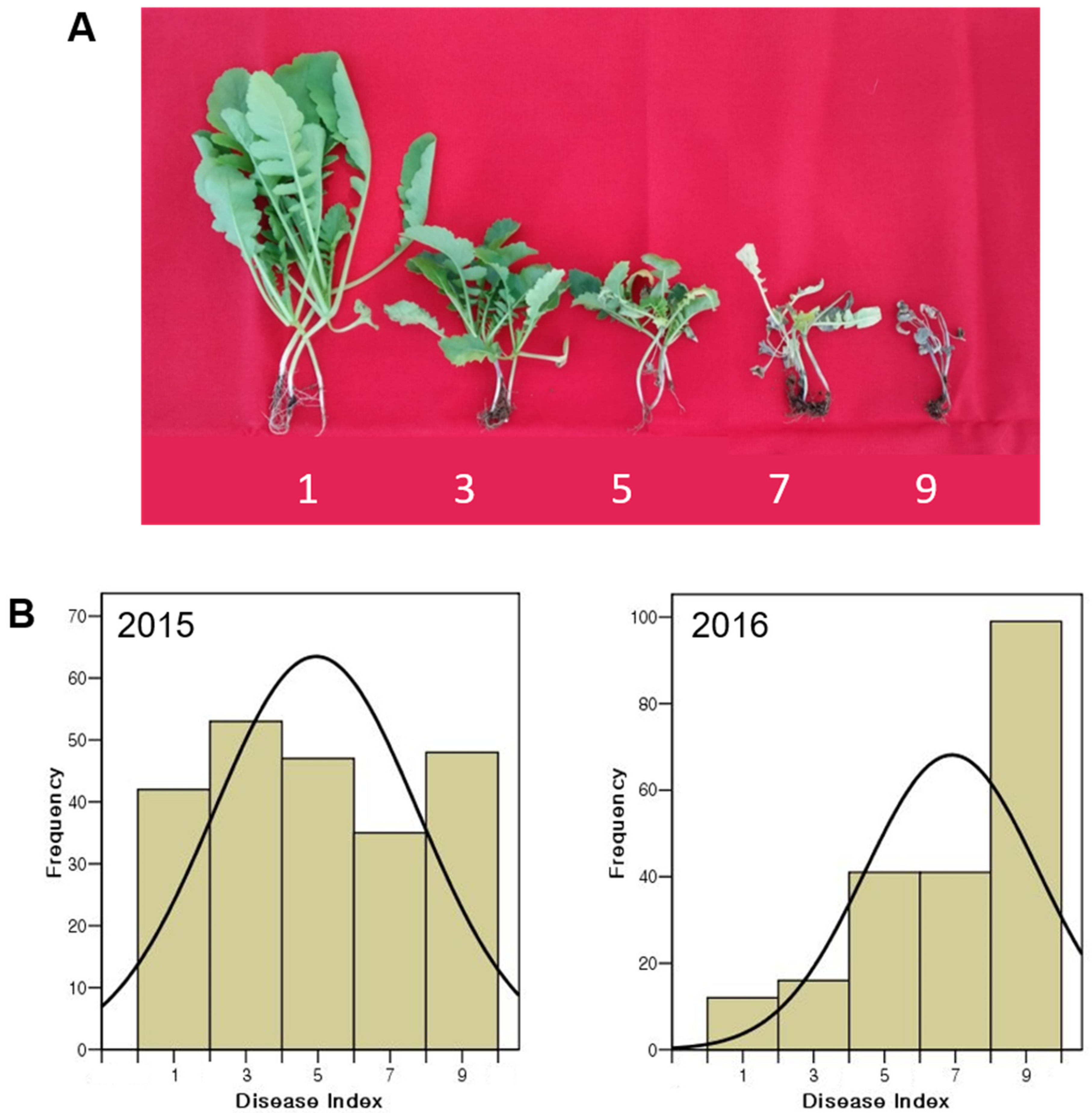 Genes 12 00858 g001 Genes 12 00858 g001