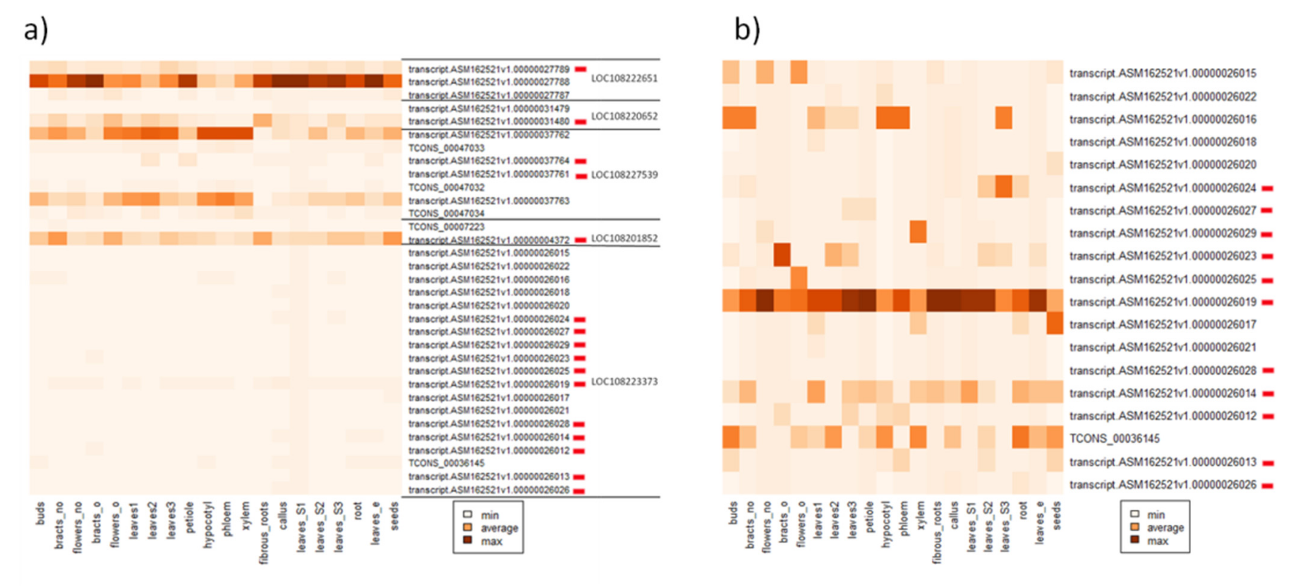 Genes 12 00859 g003 Genes 12 00859 g003