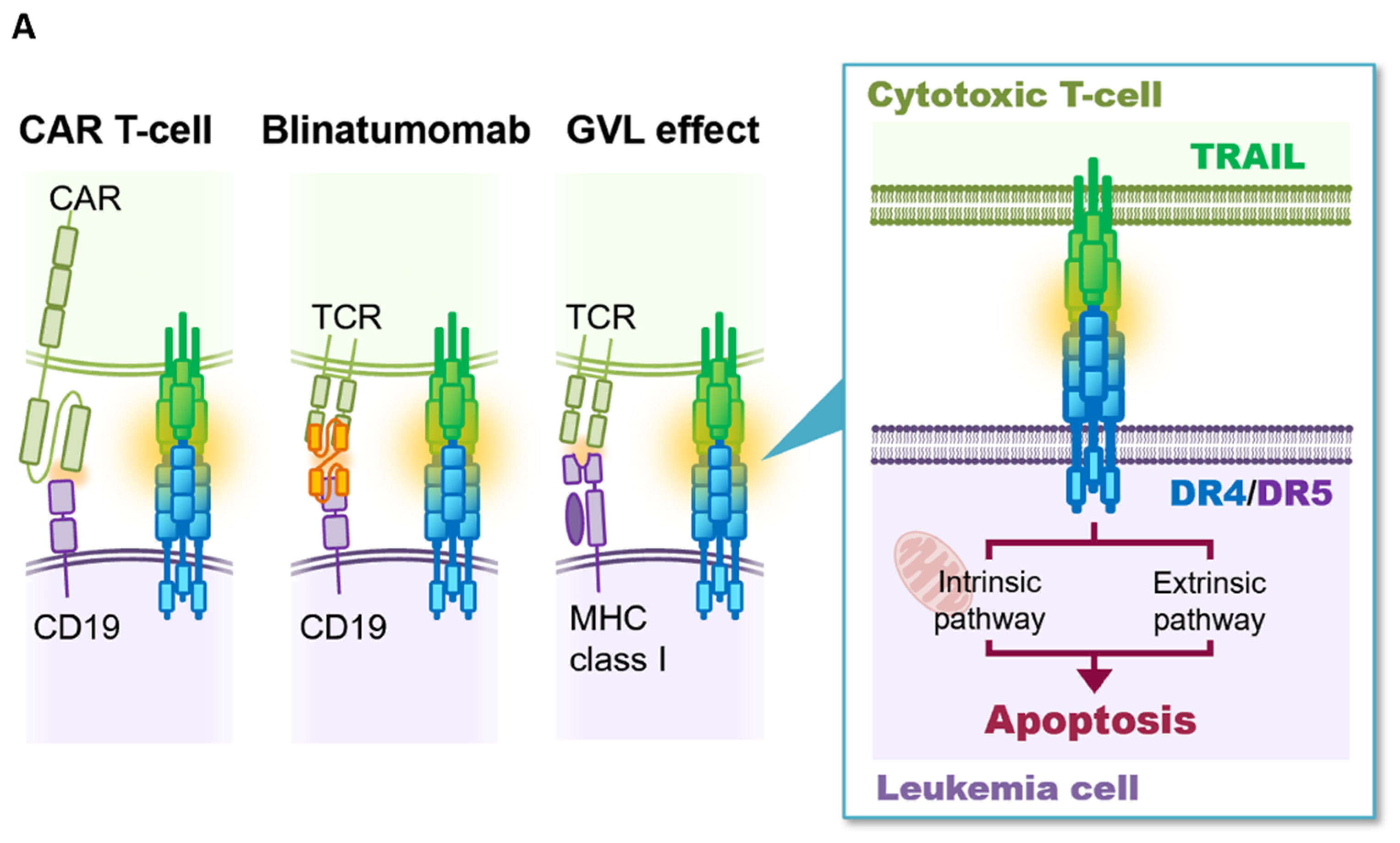 Genes 12 00864 g001a Genes 12 00864 g001a