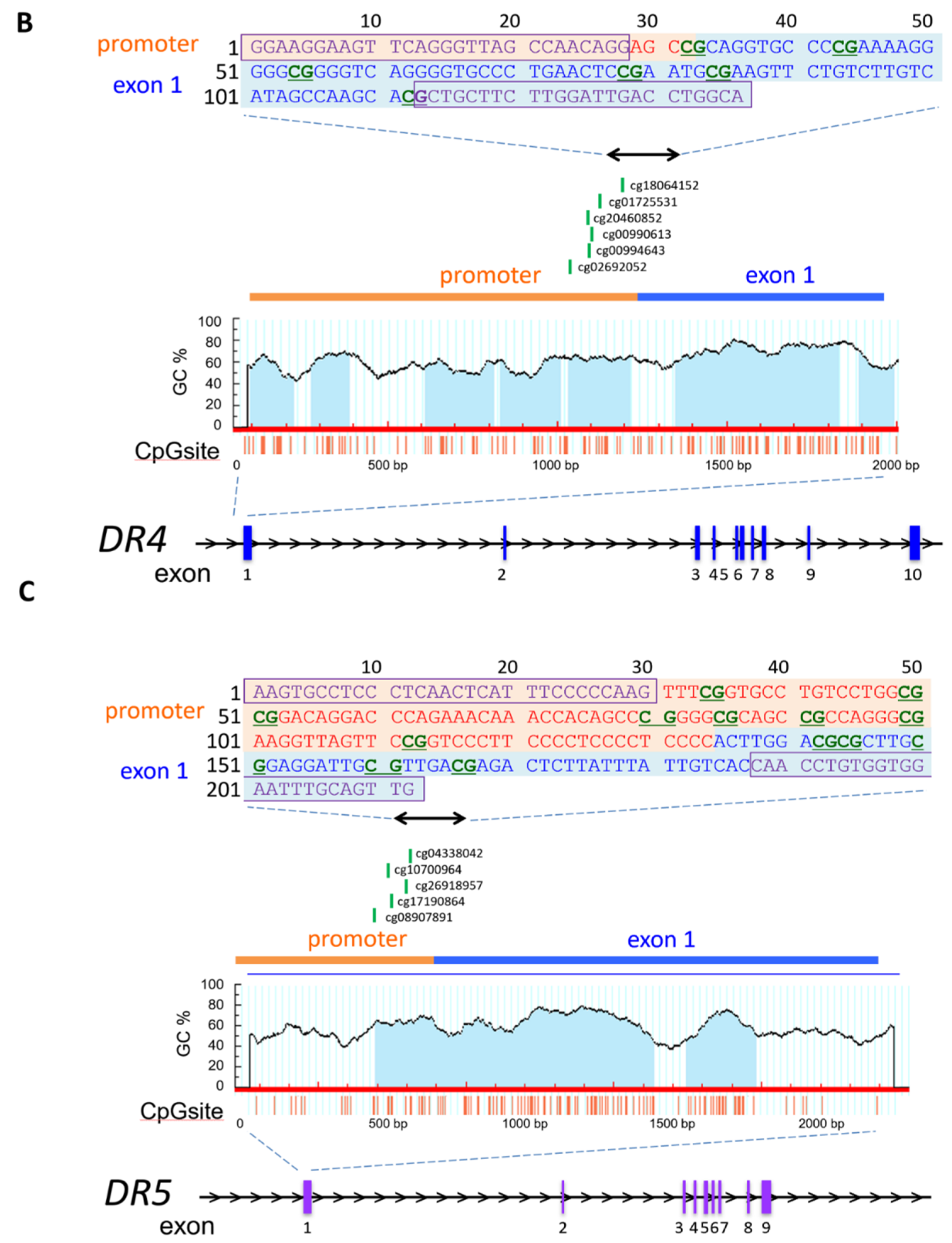 Genes 12 00864 g001b Genes 12 00864 g001b
