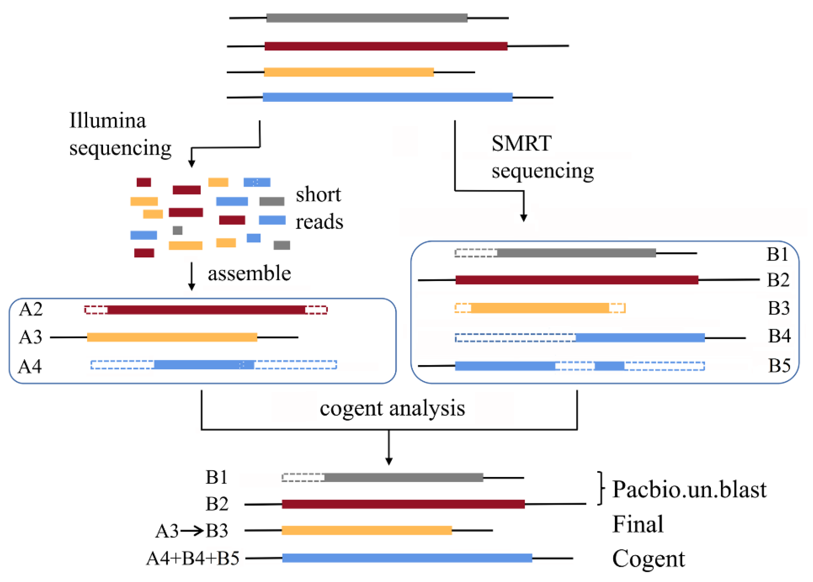 Genes 12 00869 g002 Genes 12 00869 g002