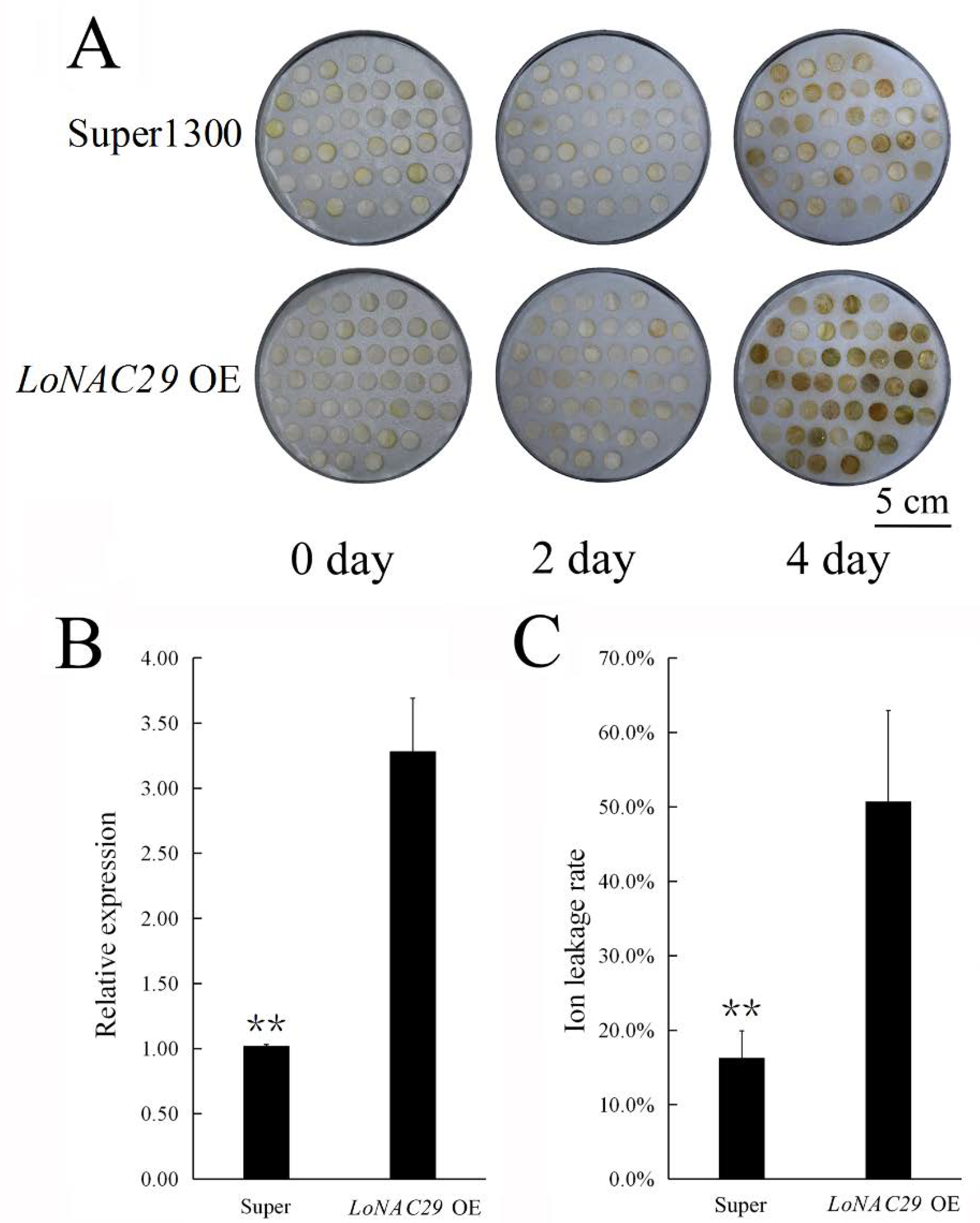 Genes 12 00869 g007 Genes 12 00869 g007