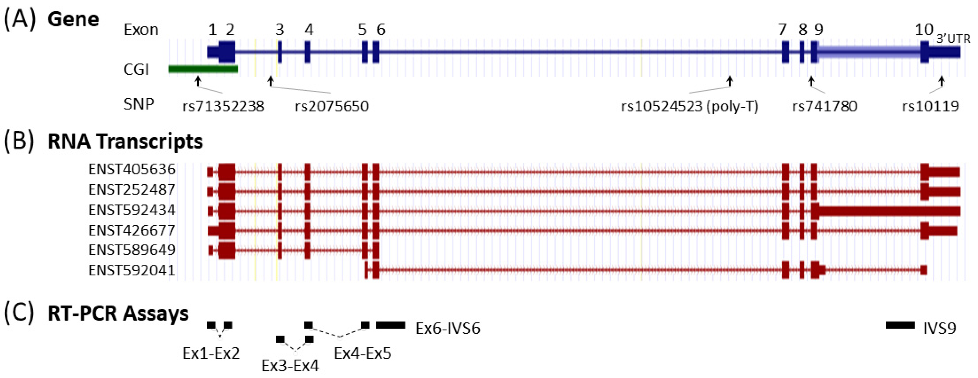 Genes 12 00871 g002 Genes 12 00871 g002