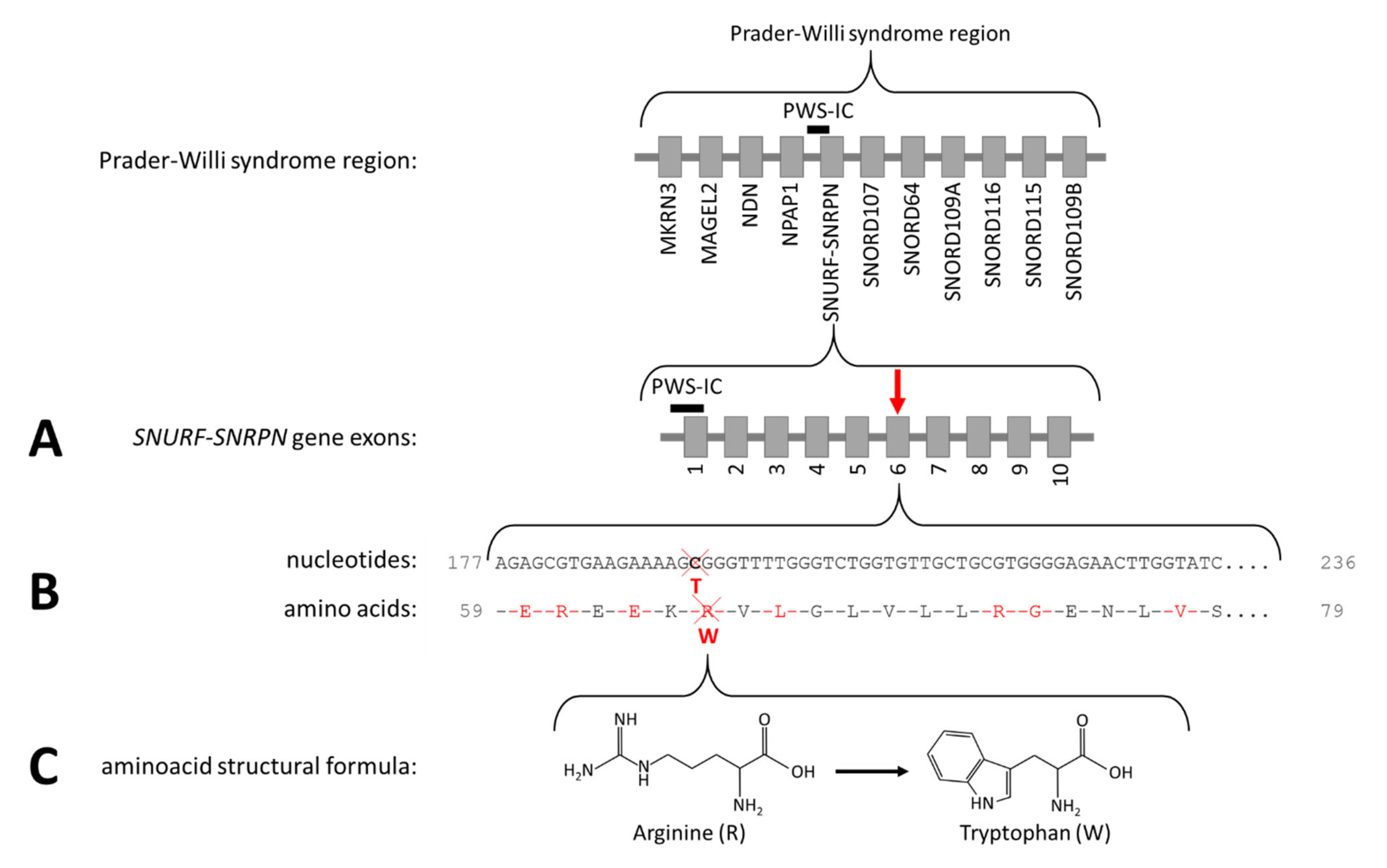 Genes 12 00875 g002