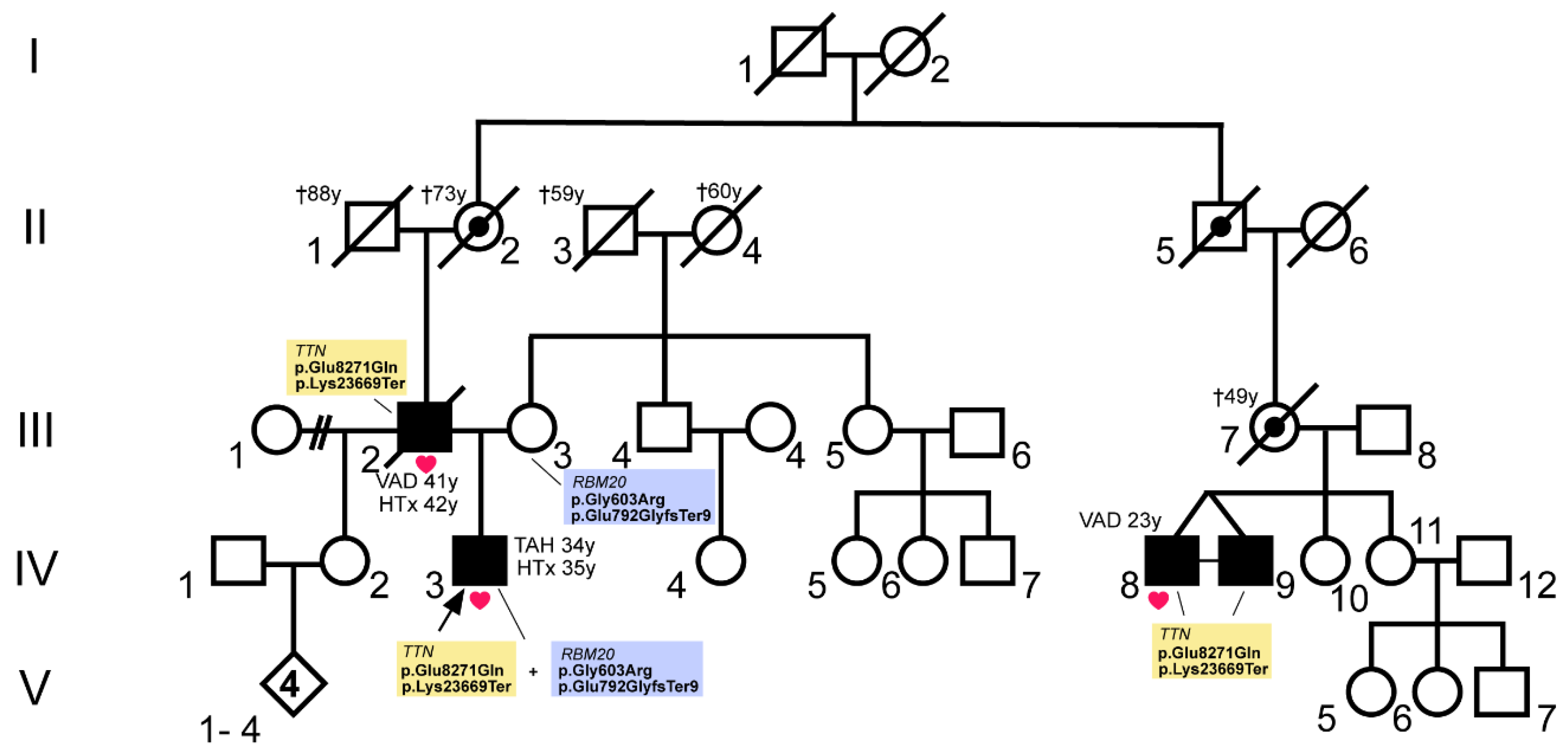 Genes 12 00883 g001 Genes 12 00883 g001