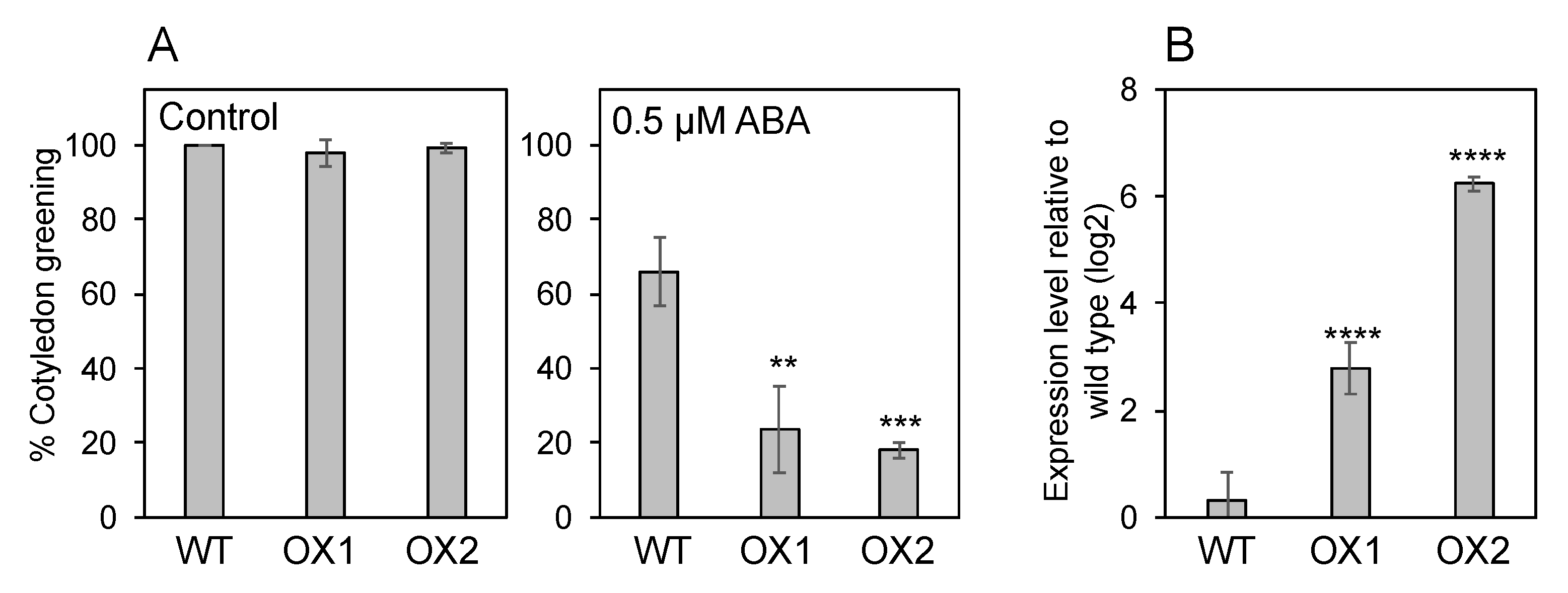 Genes 12 00885 g007