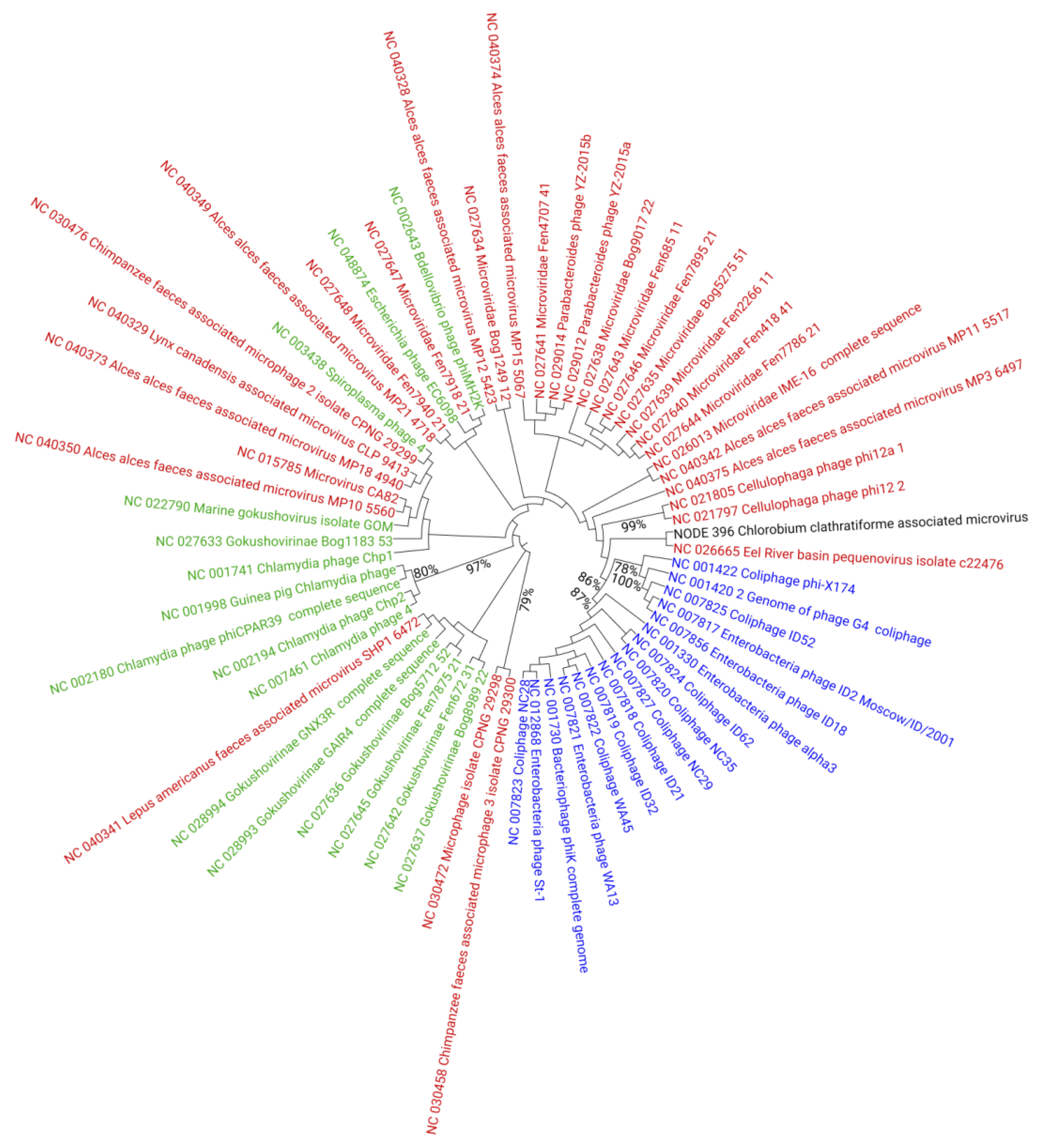 Genes 12 00886 g003 Genes 12 00886 g003