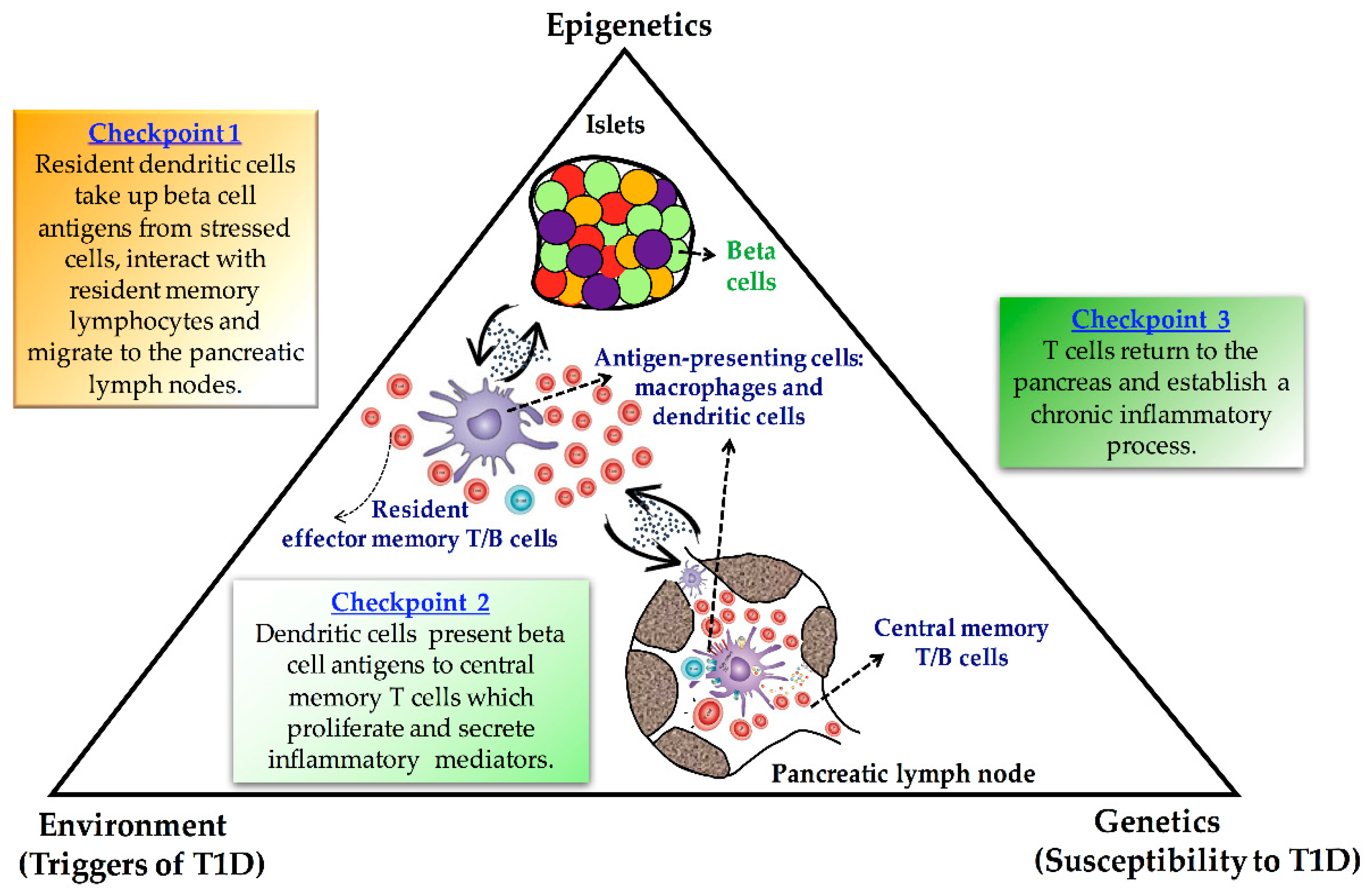 Genes 12 00887 g001 Genes 12 00887 g001