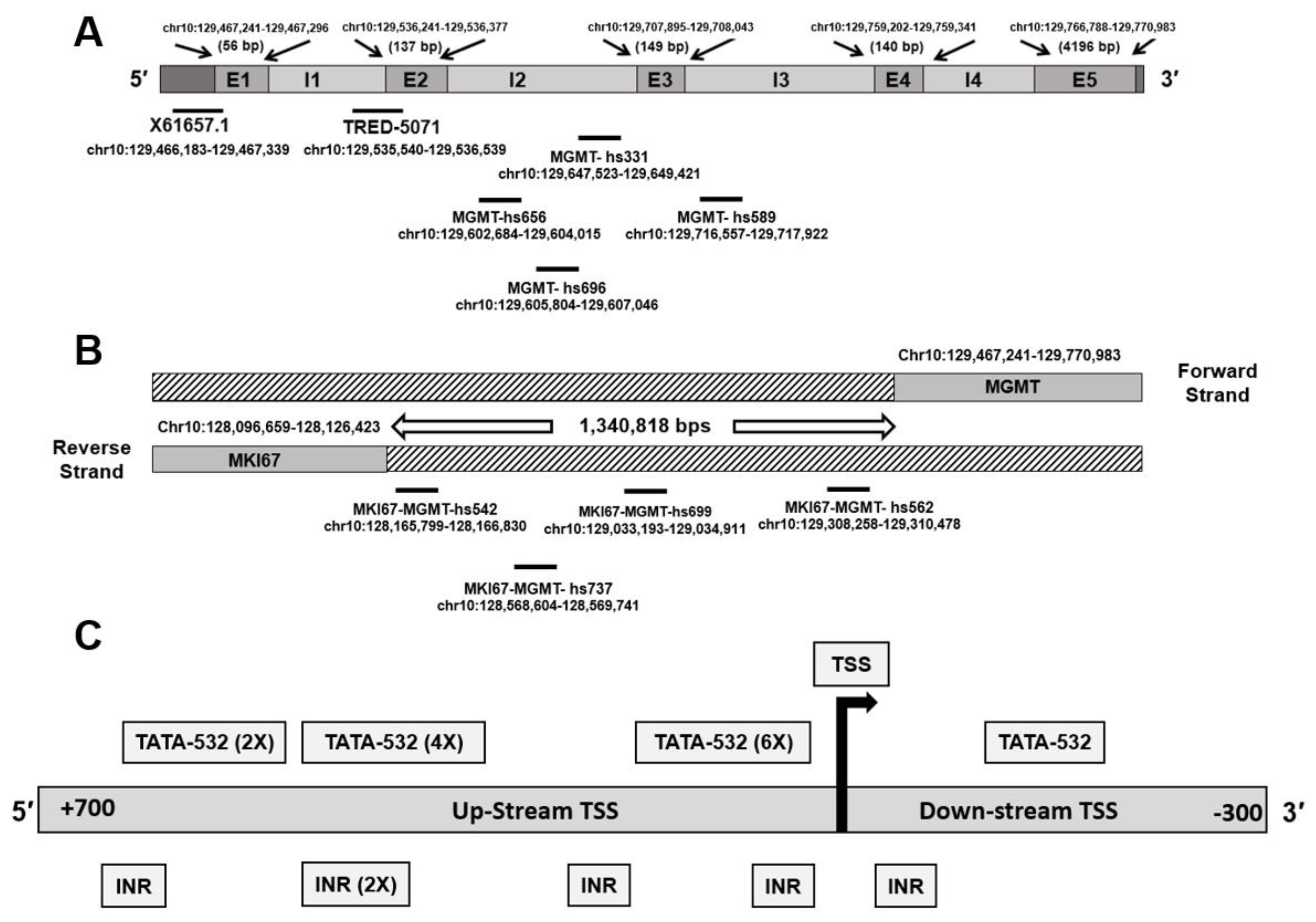 Genes 12 00888 g001 Genes 12 00888 g001
