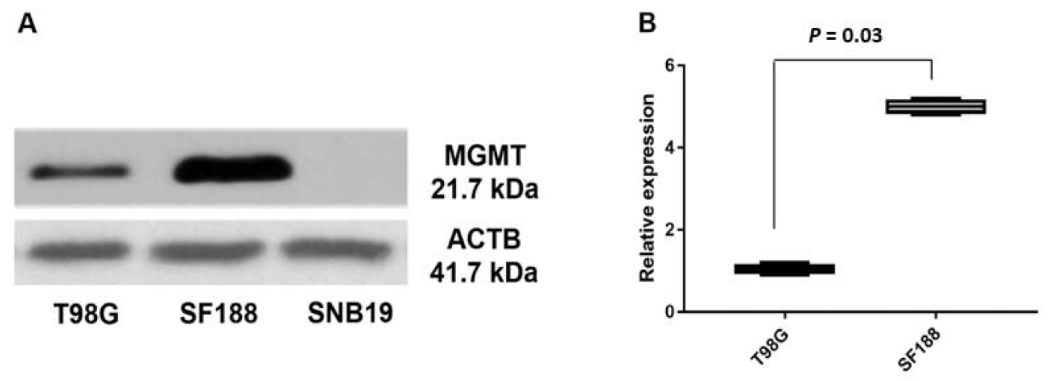 Genes 12 00888 g003 Genes 12 00888 g003