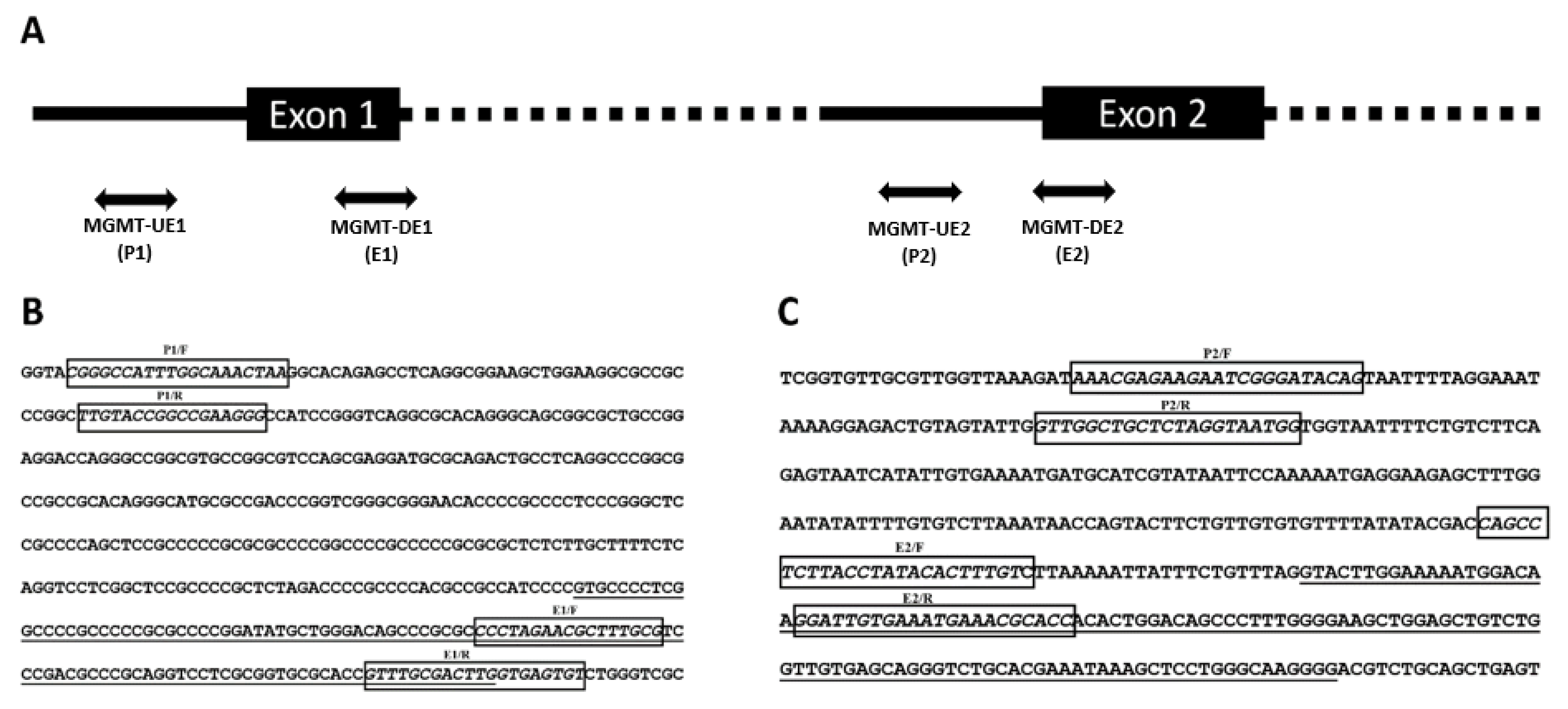 Genes 12 00888 g007 Genes 12 00888 g007