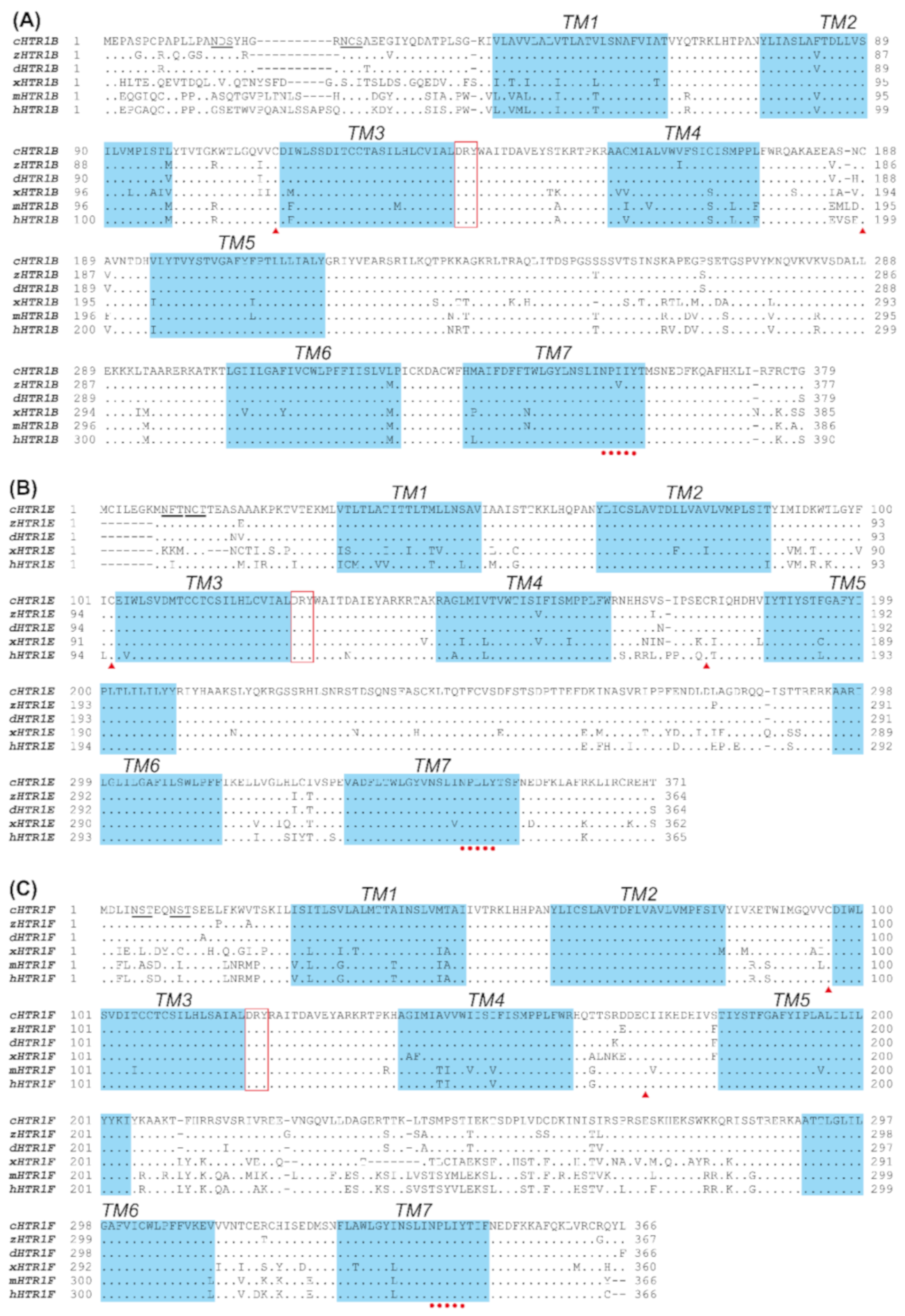 Genes 12 00891 g001 Genes 12 00891 g001