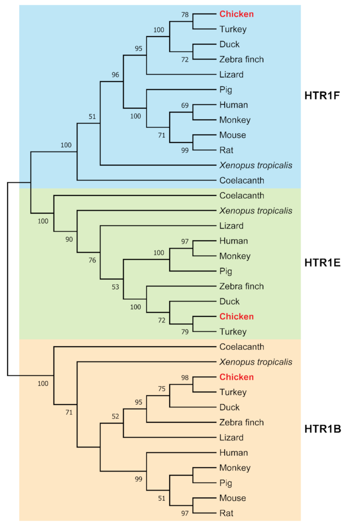 Genes 12 00891 g002 Genes 12 00891 g002