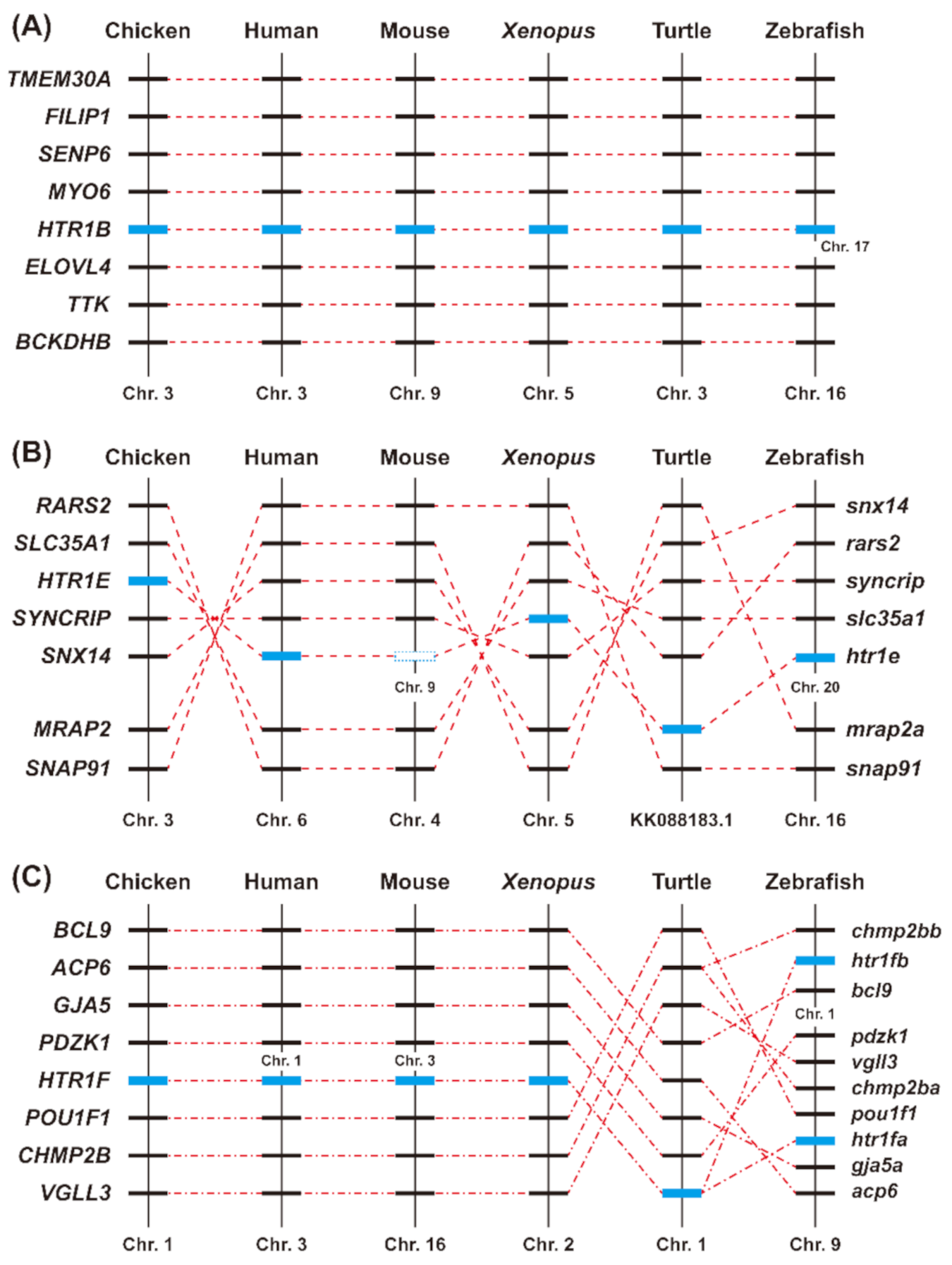 Genes 12 00891 g003 Genes 12 00891 g003