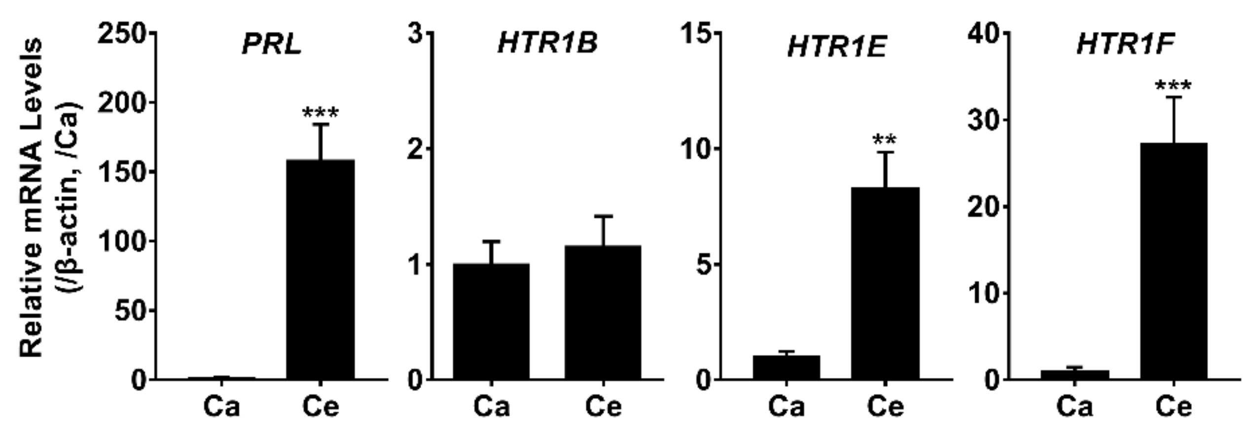 Genes  Free Full-Text  Molecular Cloning and Functional 